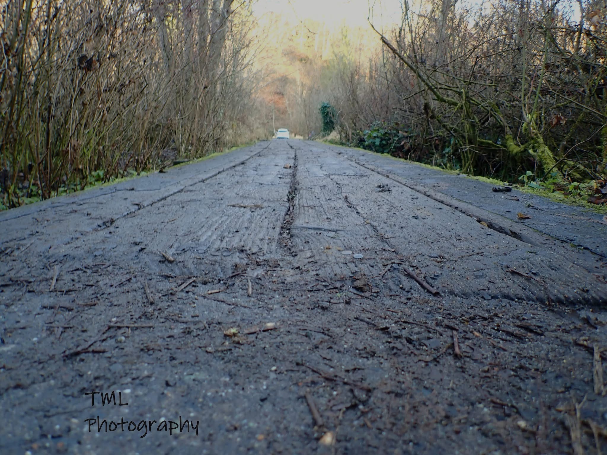 Taking a Journey Down the Road