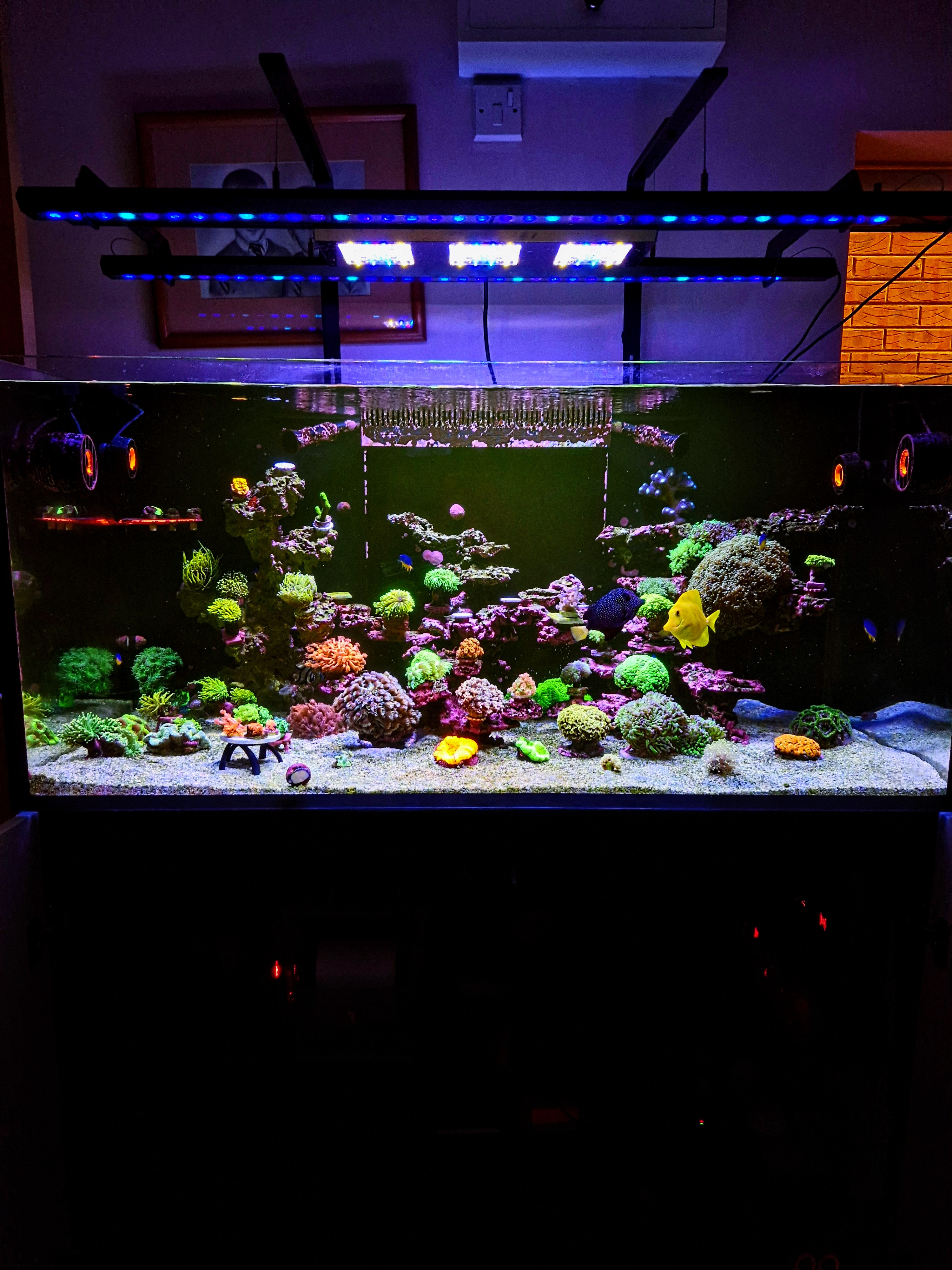 Exploring John's Reef: A Hidden Gem