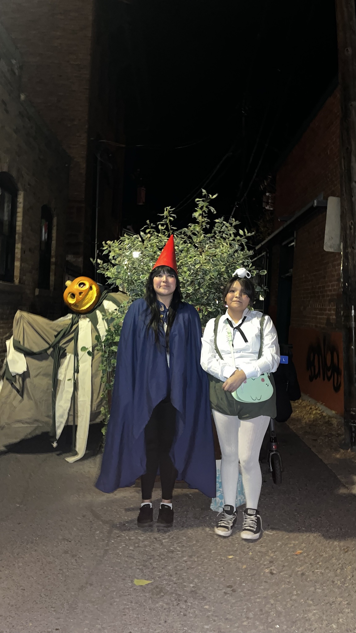 I went as a cat dressed as a pumpkin!