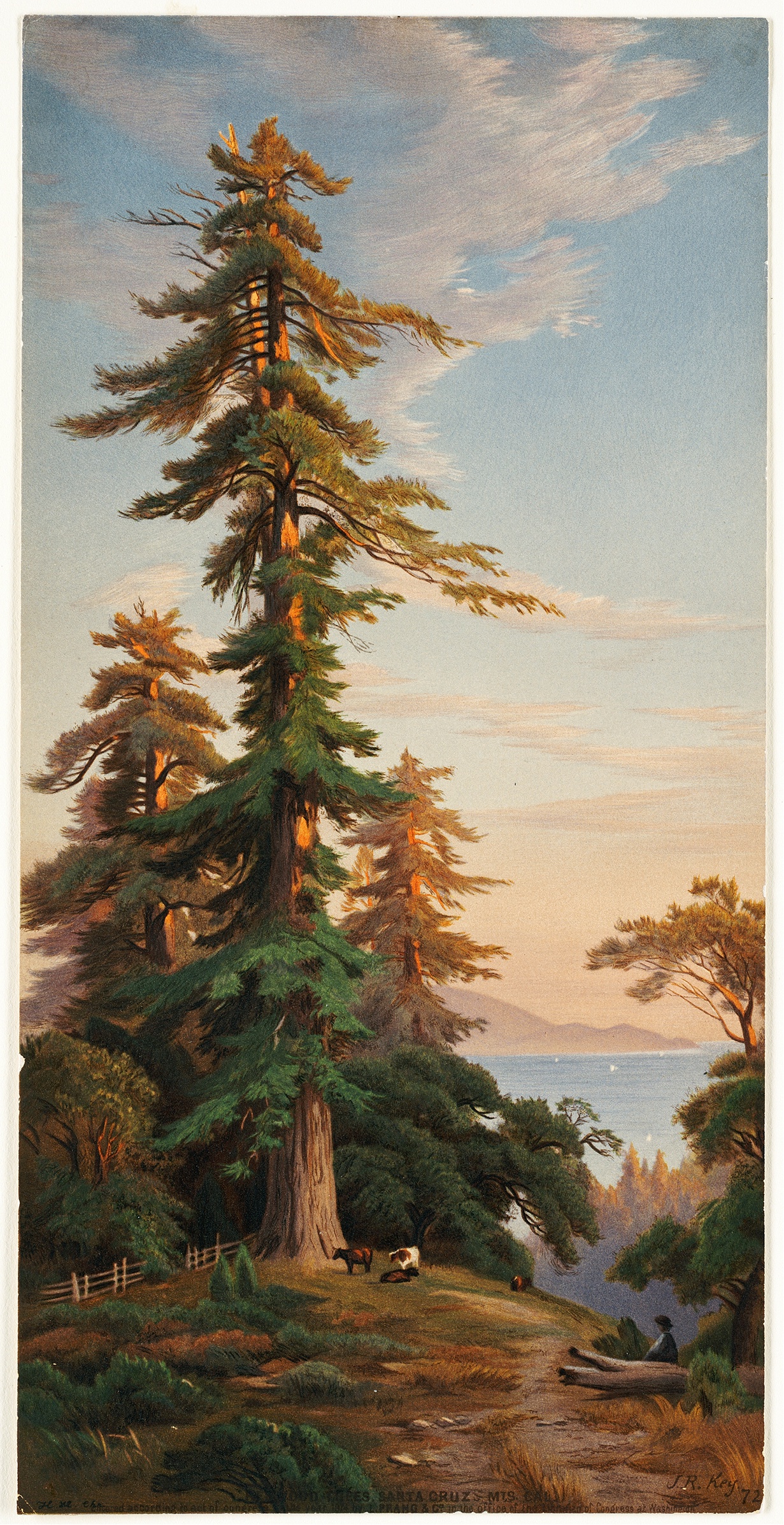 John Ross Key's Stunning Redwood Trees (1874)