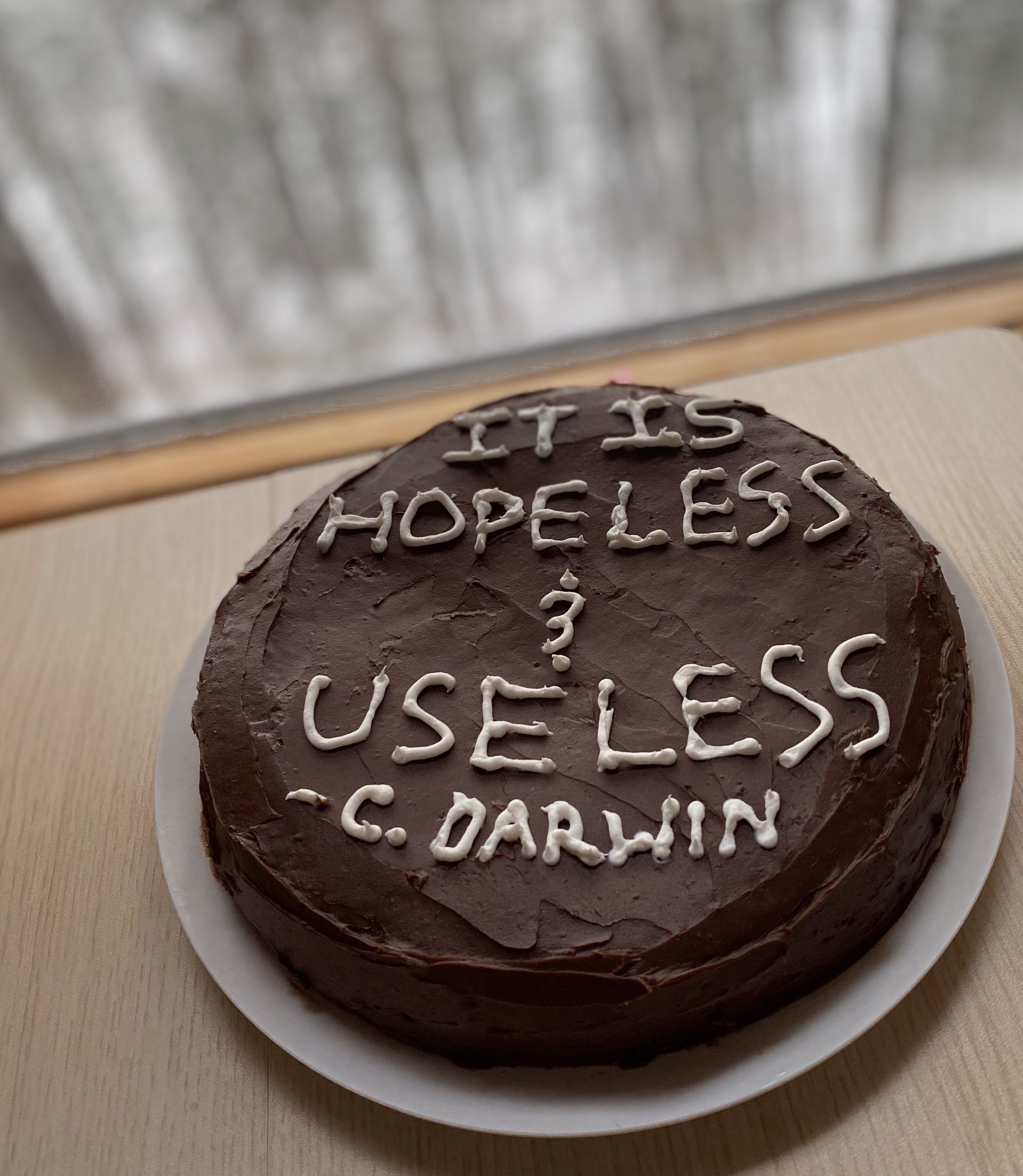 The answer is cake: A quirky take on the overlap of depression diagnosis and treatment