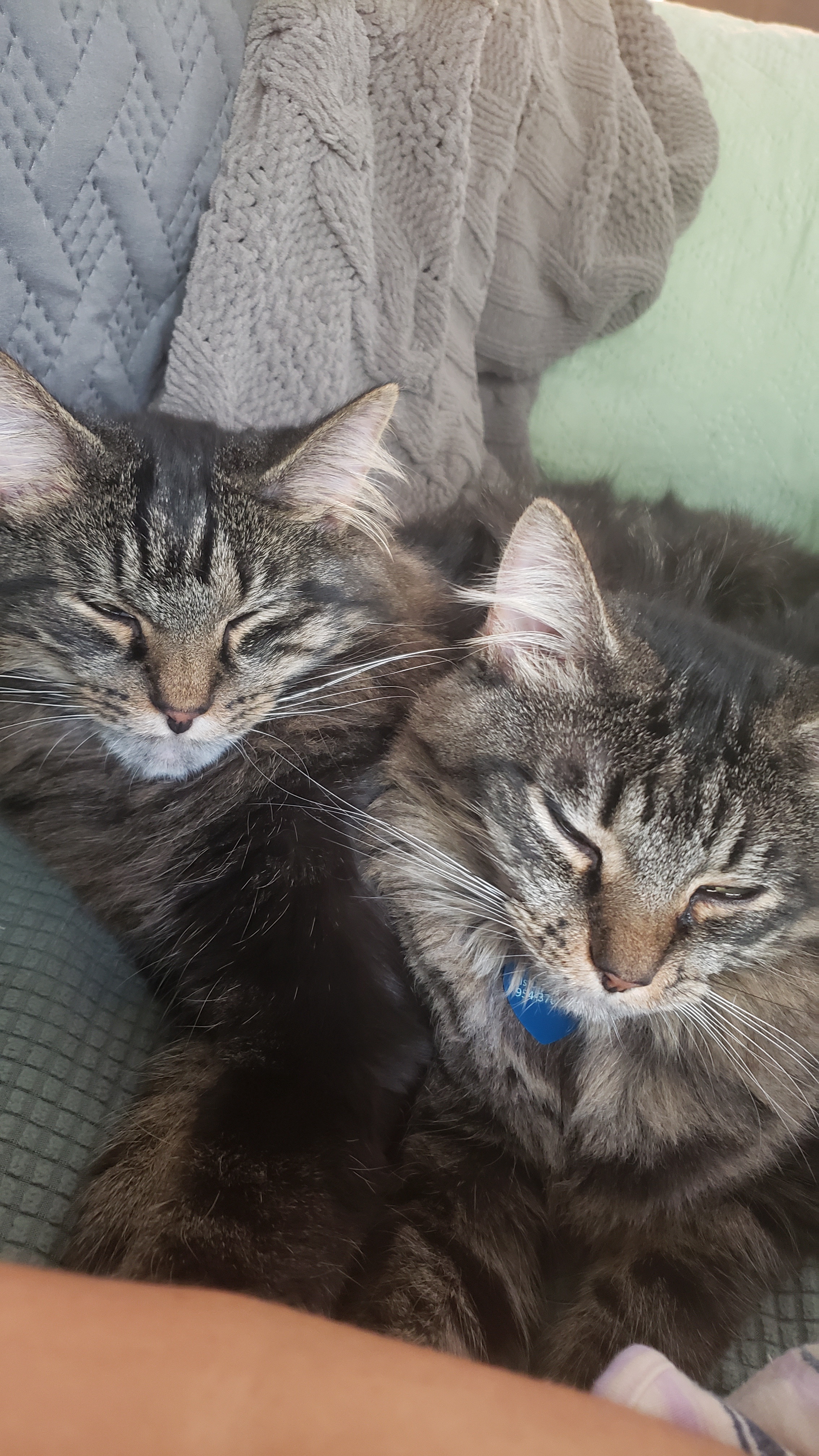 Help Us Find a New Home, Please!