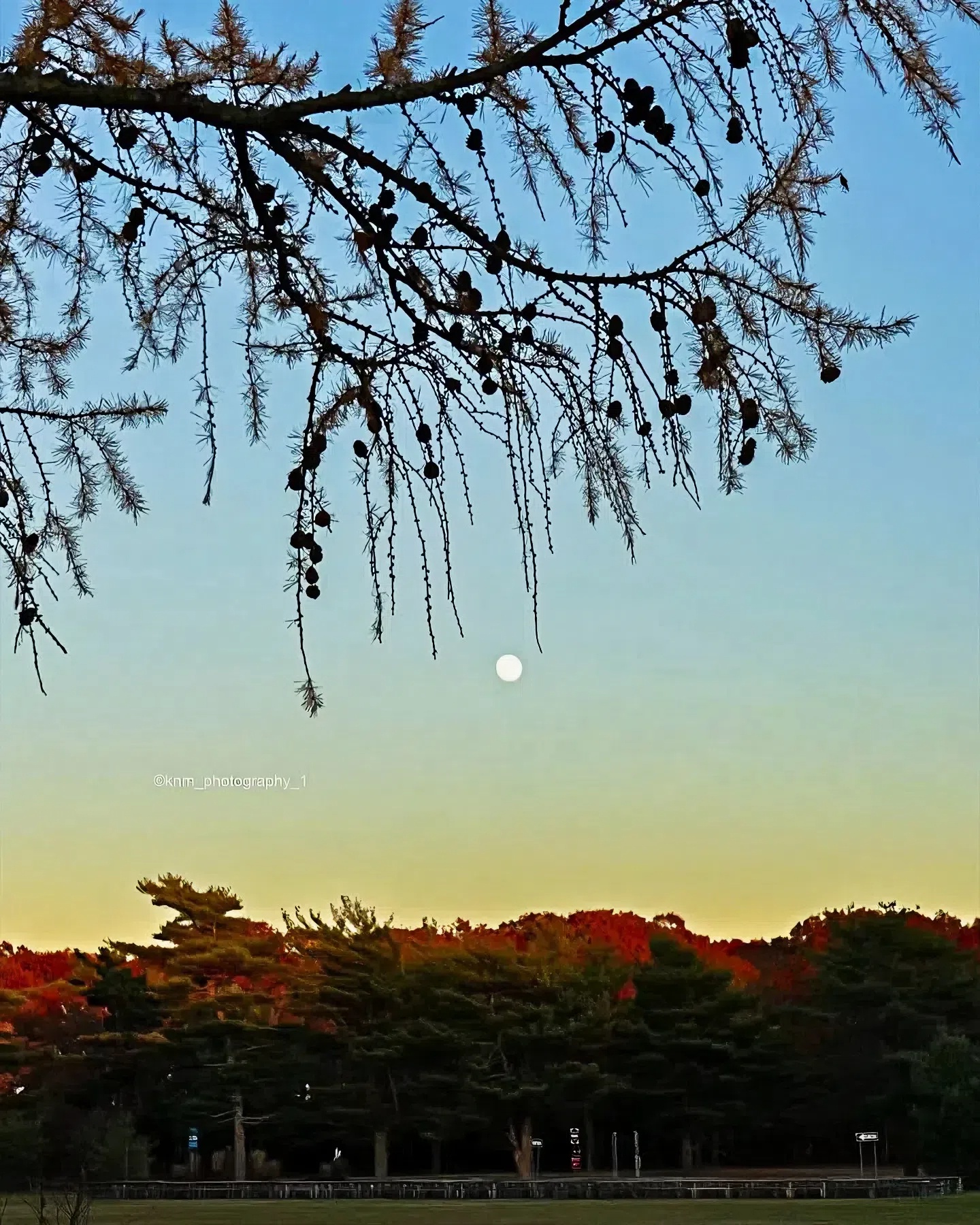 Capturing the Golden Hour with a Moonrise in Nature