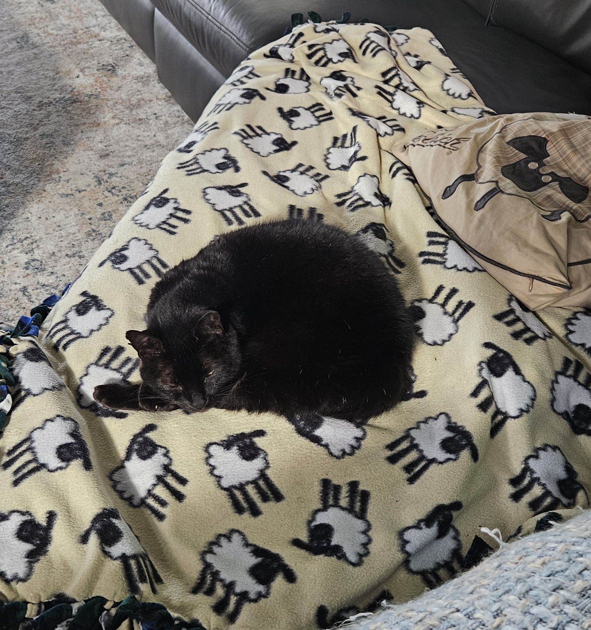 Meet the Adorable Sleepy Soot Sprite!