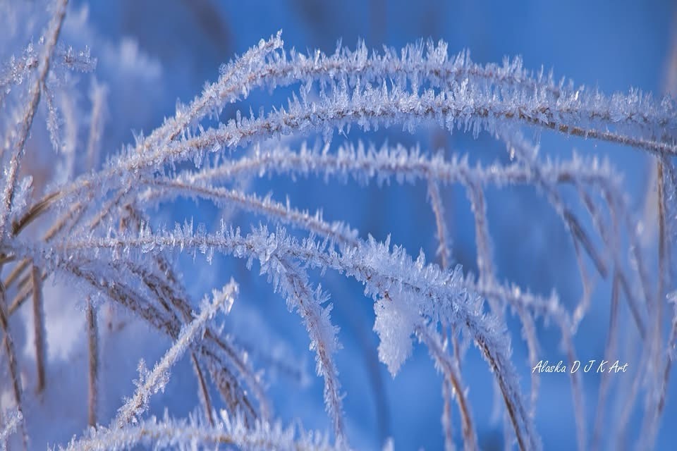 Frozen in Time: A Winter's Tale