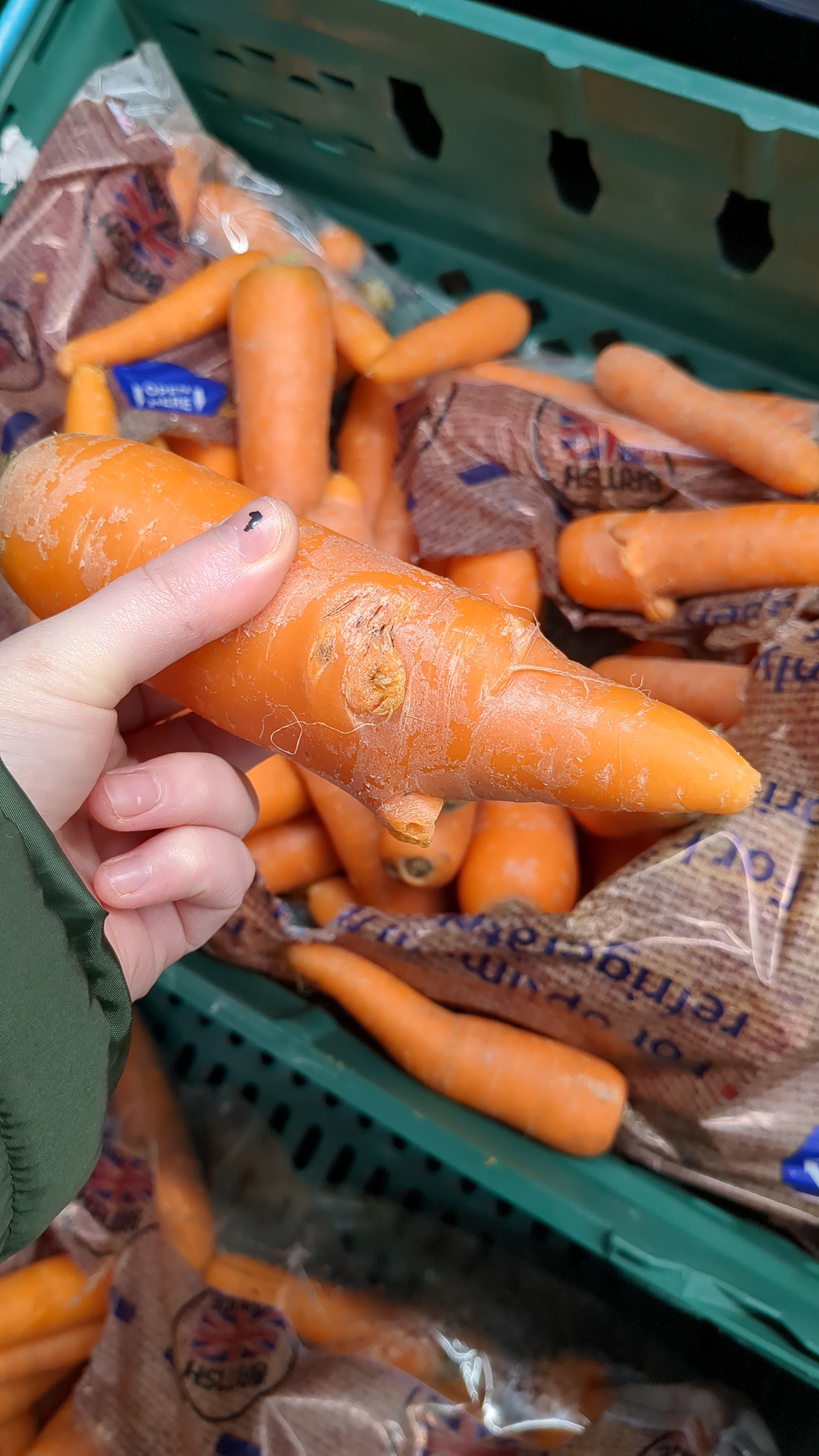 Crunchy Carrots: Nature's Snack