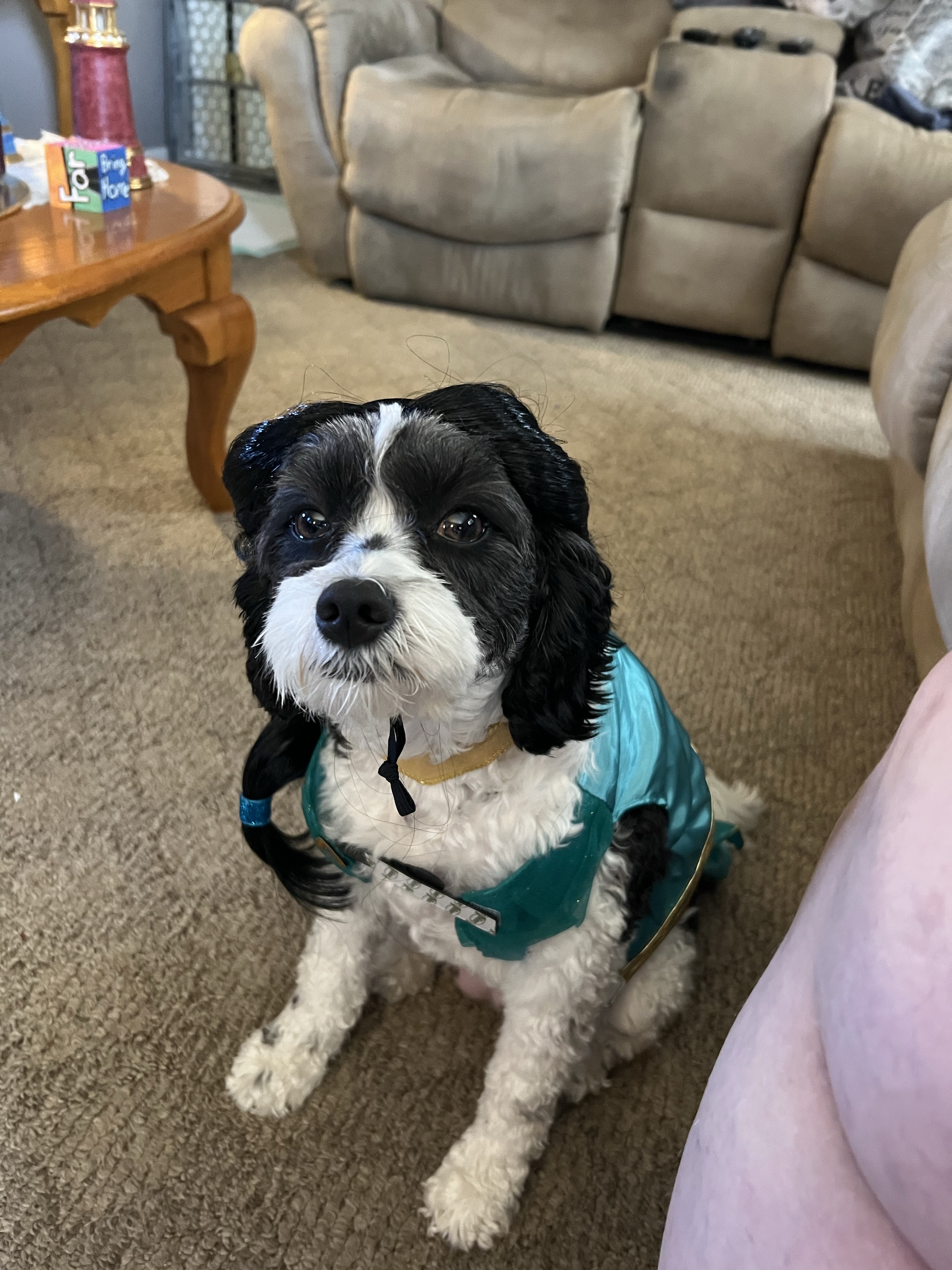 The Enchanting Princess Jasmine Awaits!