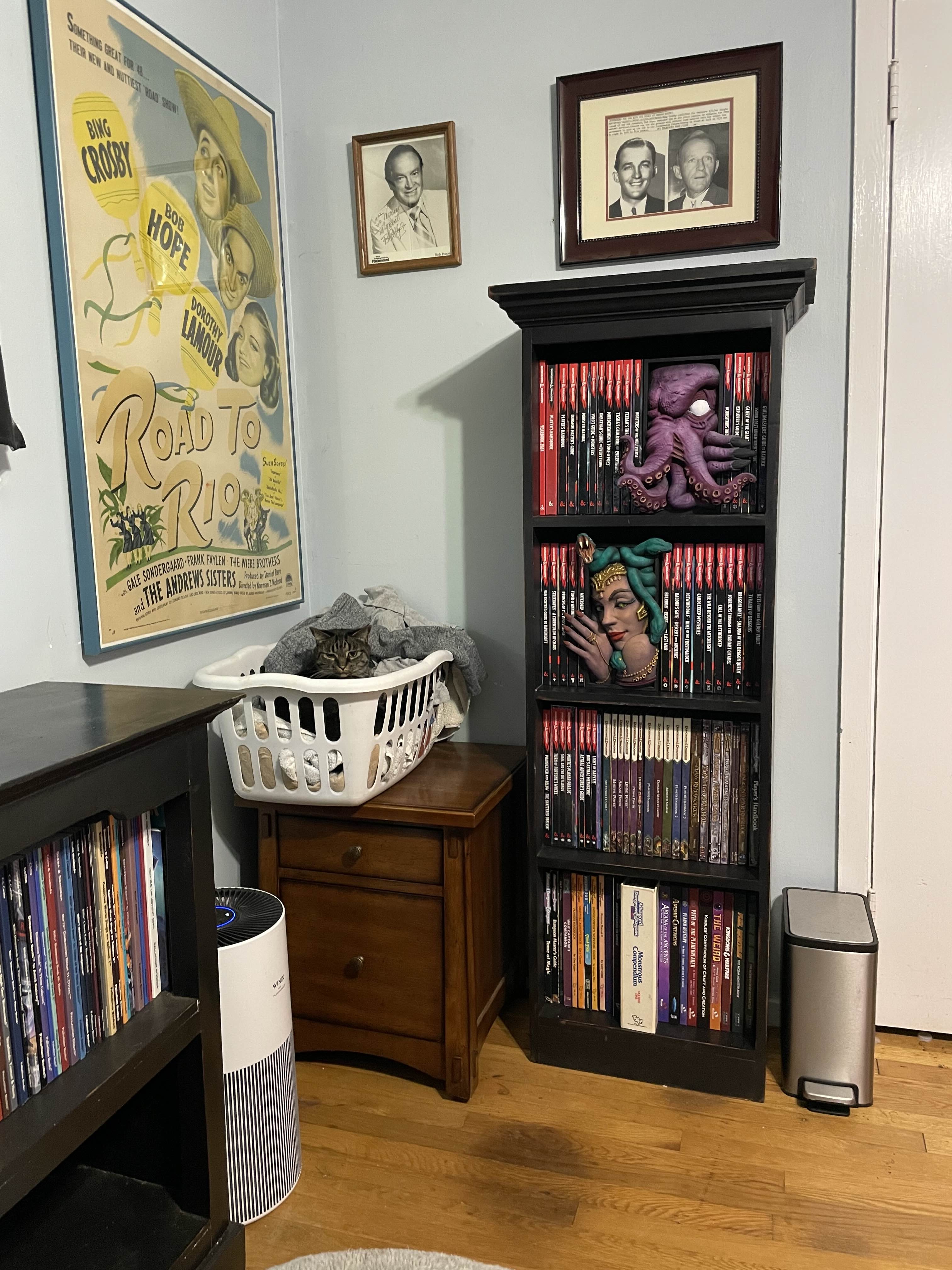 Check out my epic D&D shelf setup!