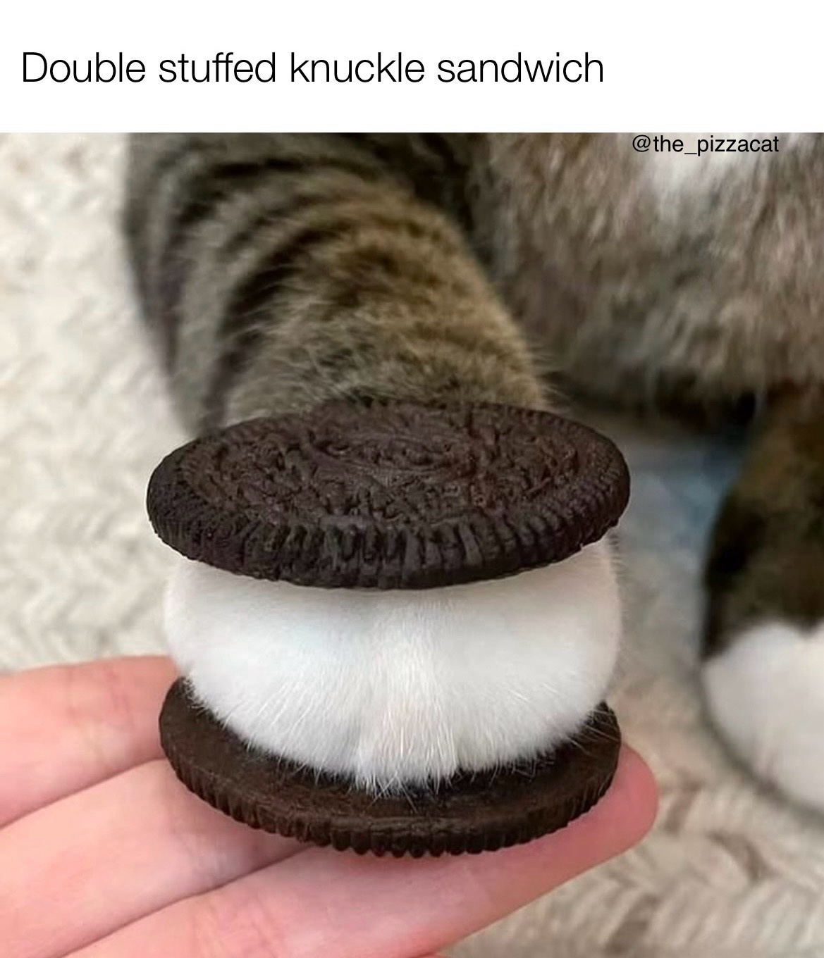 Get ready to knuckle up, my friend!