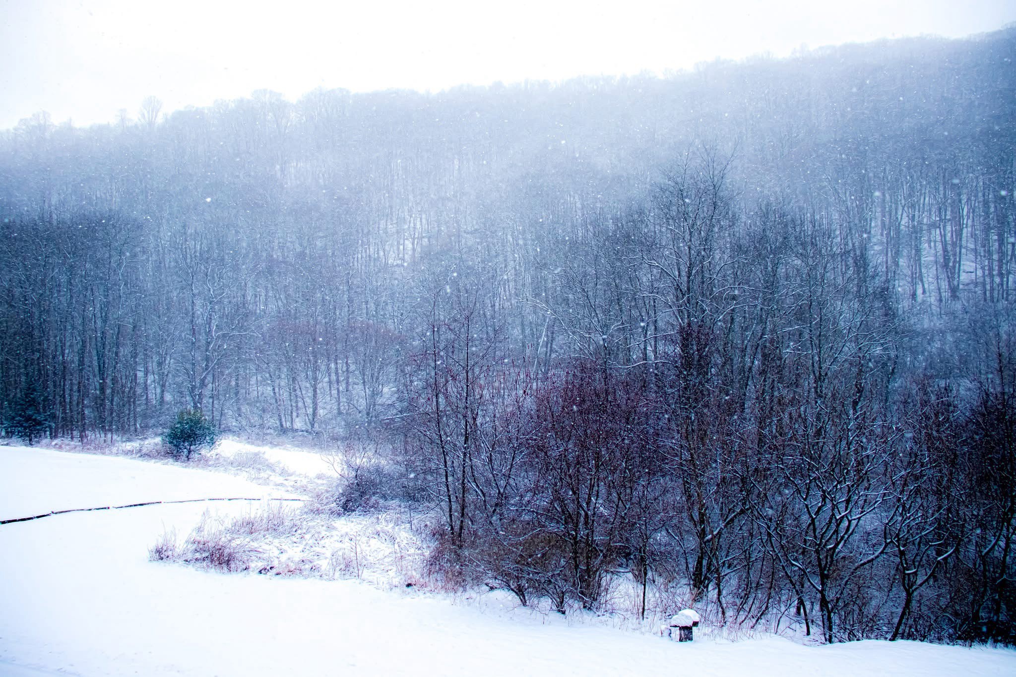 Embracing the Winter Wonderland