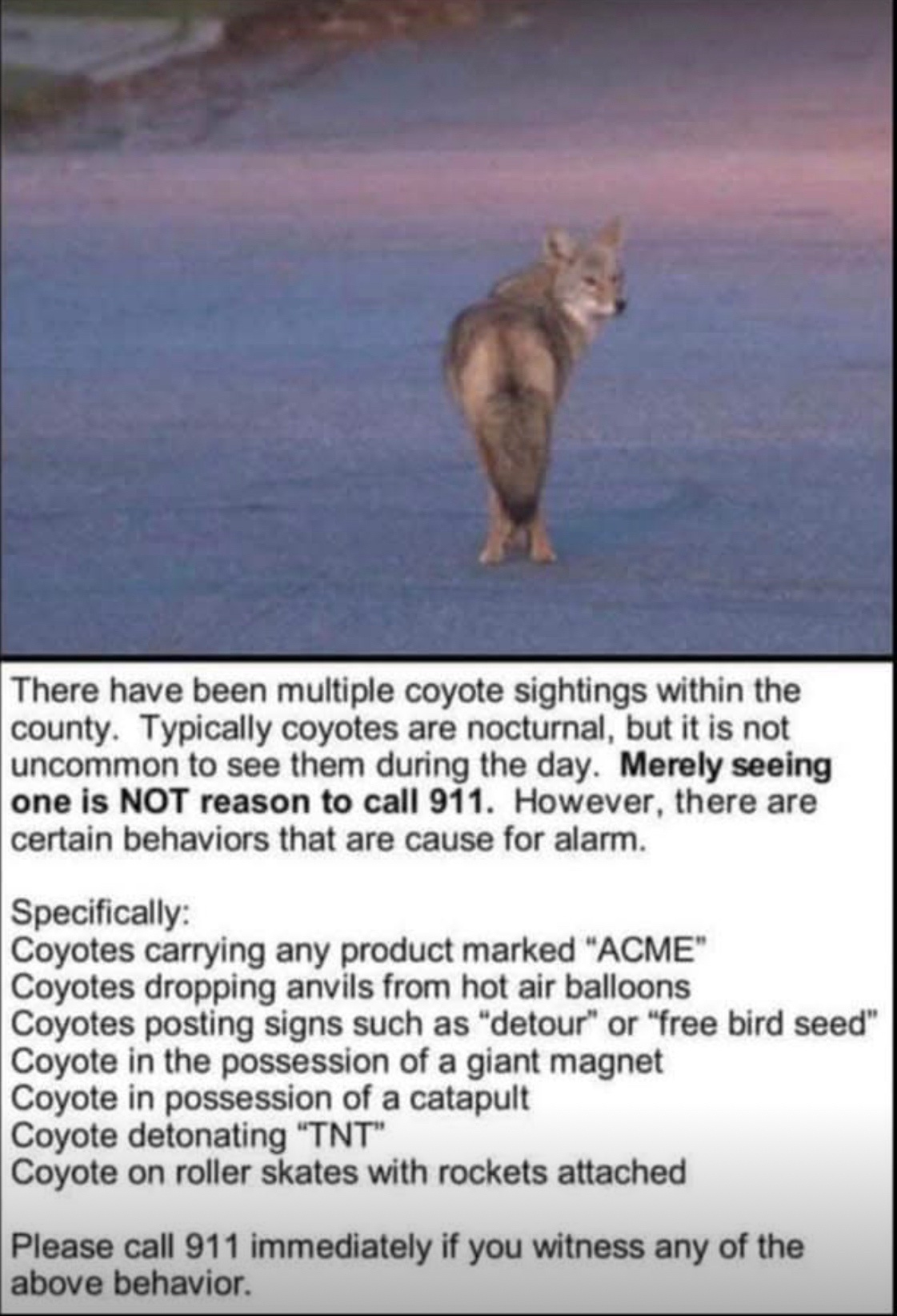 Caution Ahead: Watch Out for Surprises!