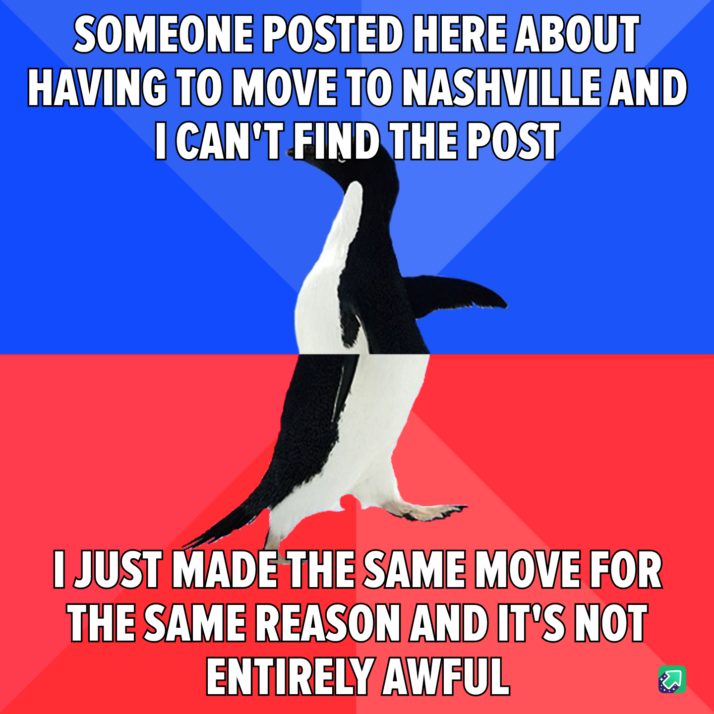 The Frustration of Losing a Recent Post in the Feed