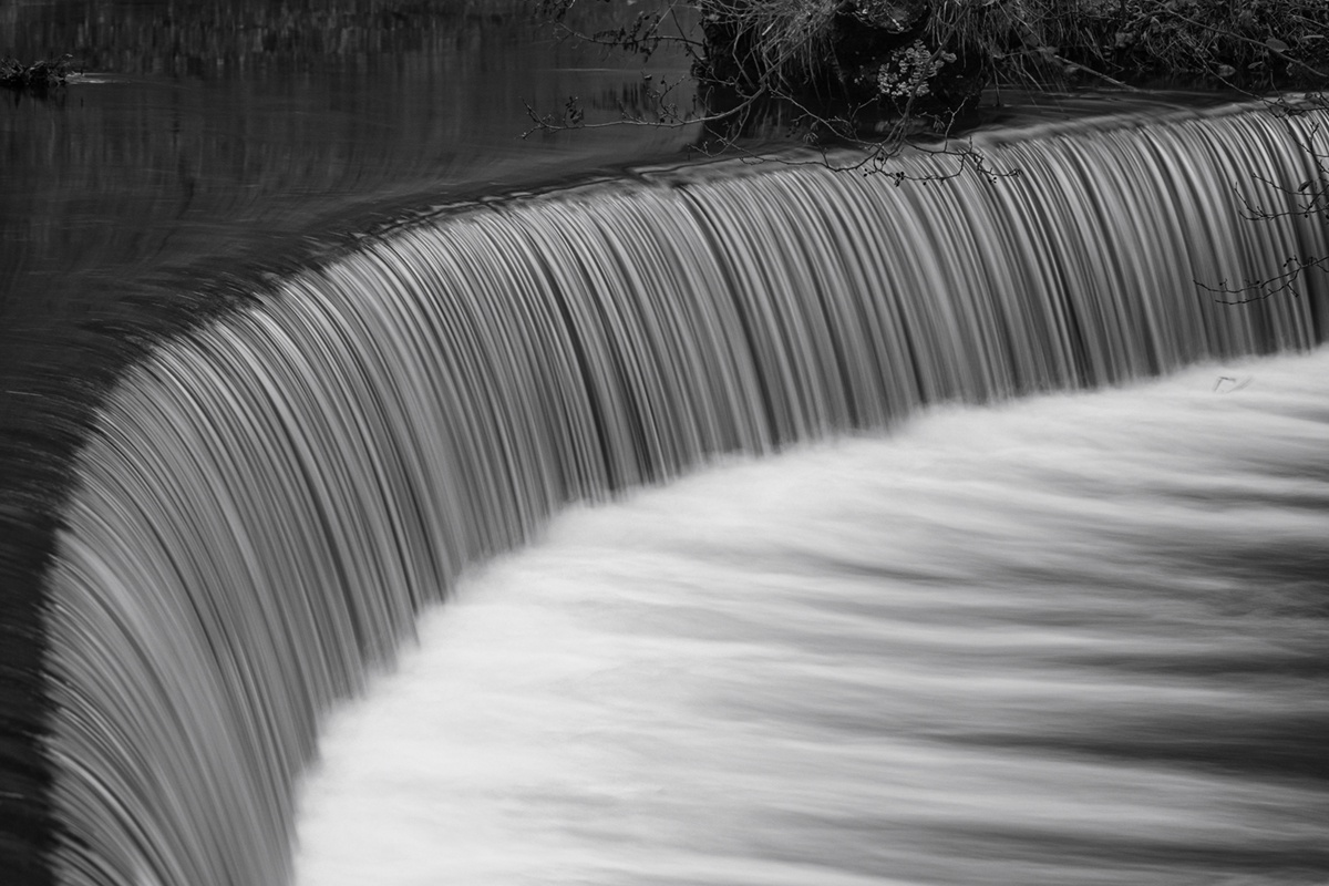 Just a Bit Quirky: Meet Weir