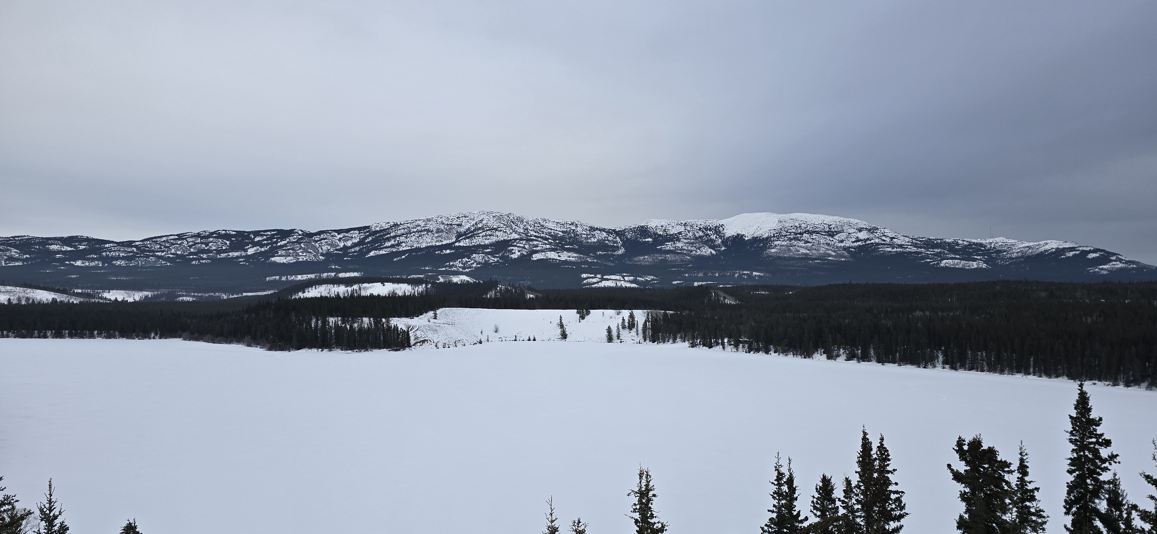 Exploring the Beauty of Whitehorse, Yukon