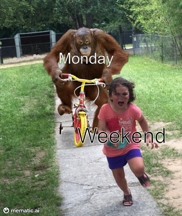 That Feeling When the Long Weekend Arrives