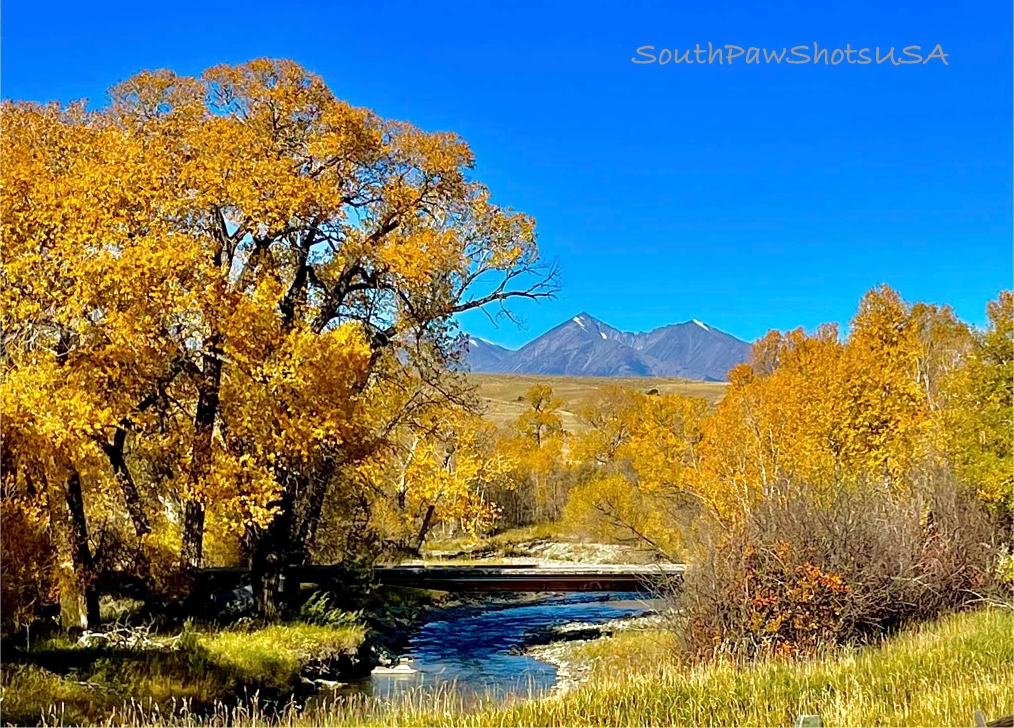The Essence of Autumn