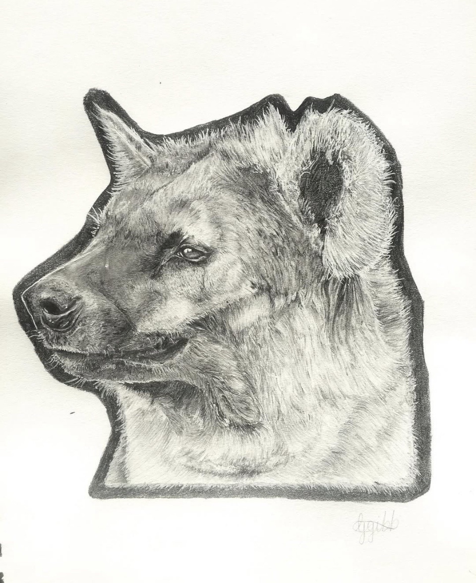 Artistic interpretation of a Spotted Hyena