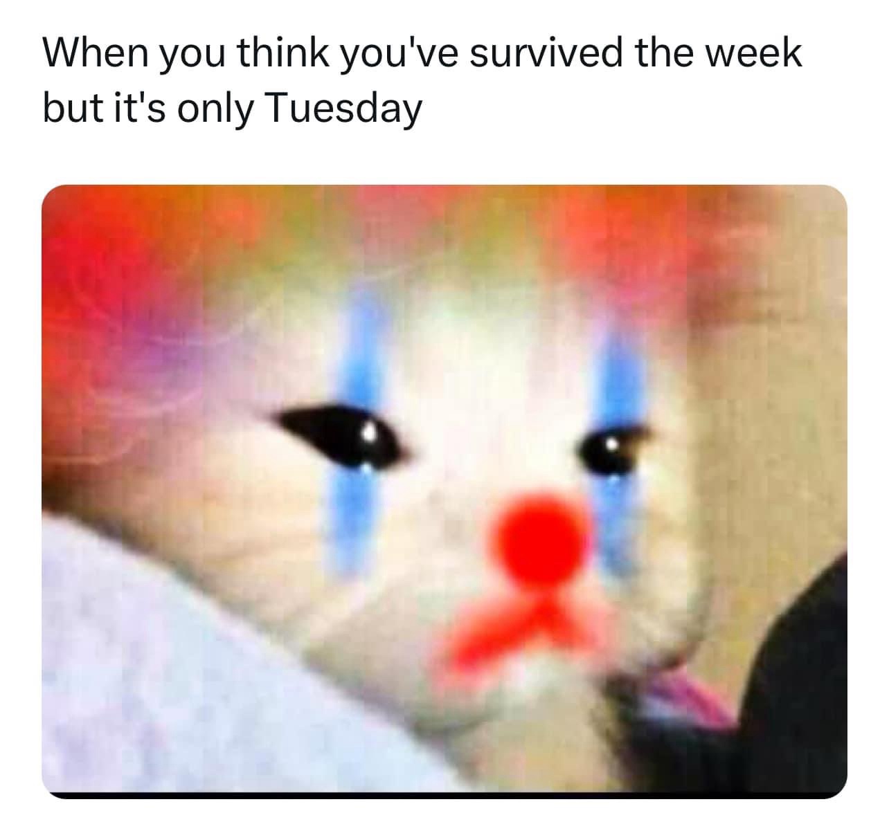 It’s either going to be a total hit or a complete disaster