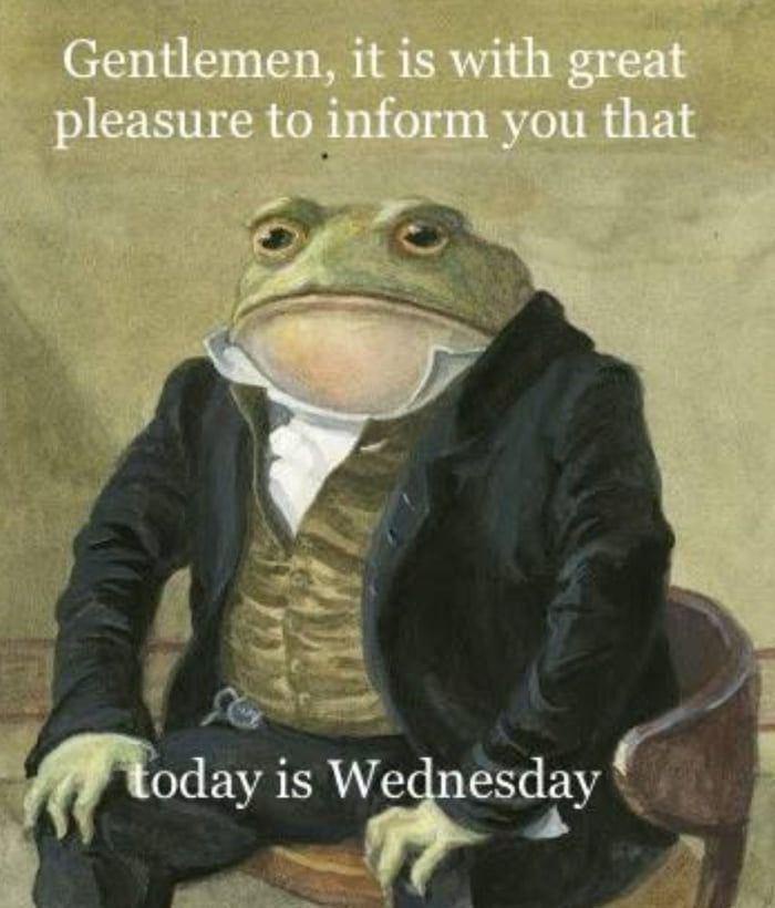 Hilarious Frog Memes