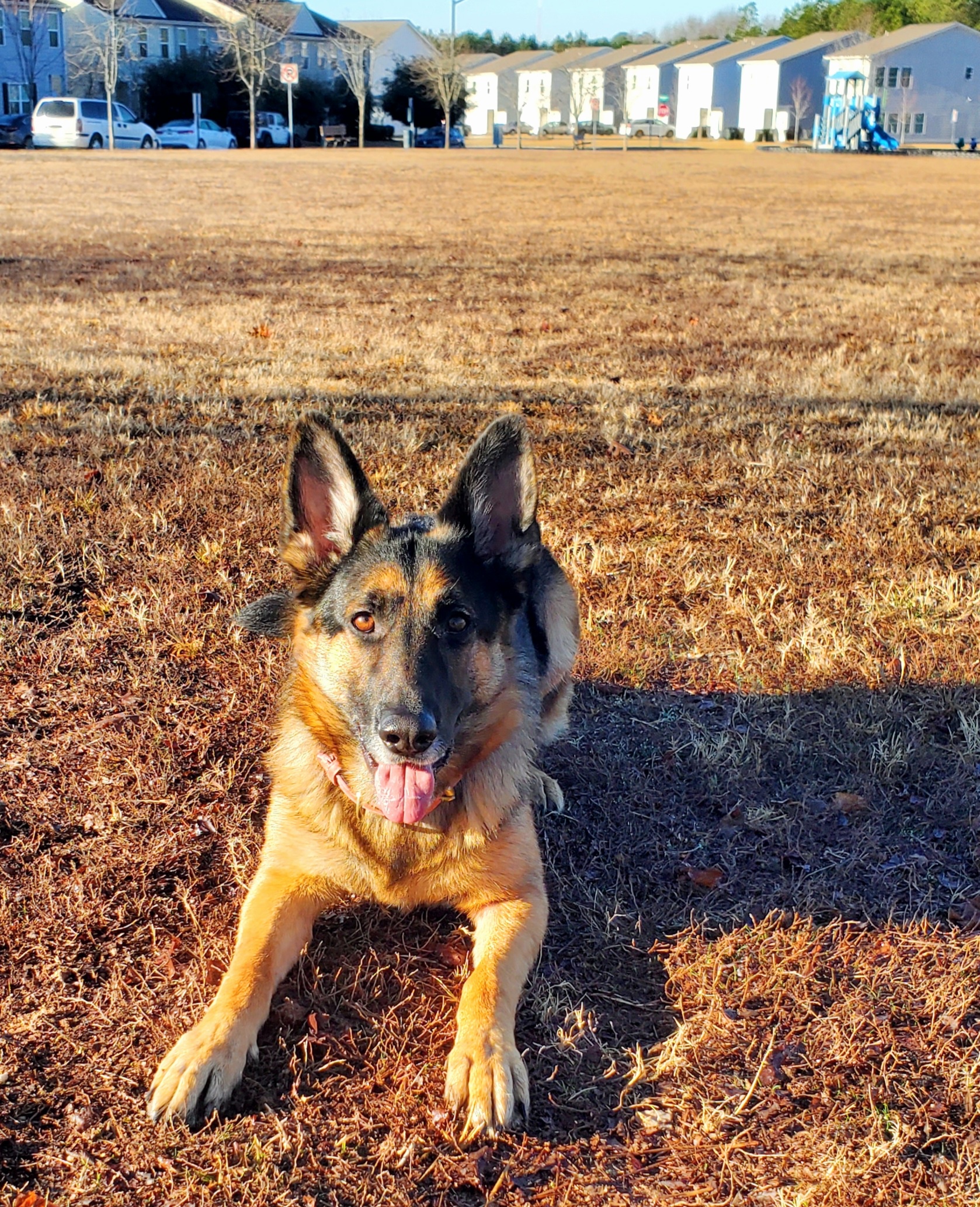 A refreshing start to the day with a game of fetch