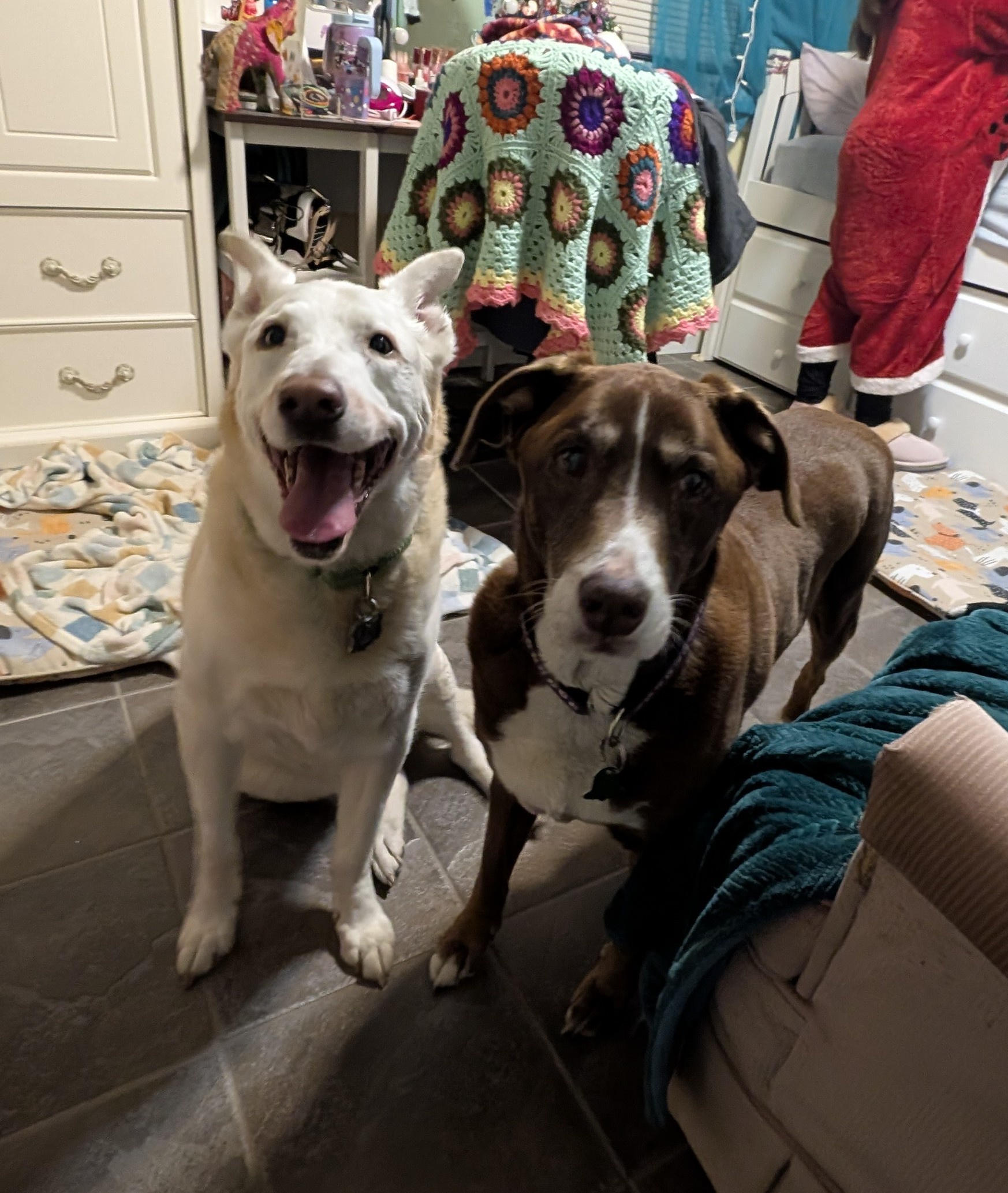 Reunited with My Fur Babies: Love My Silly Goofballs!