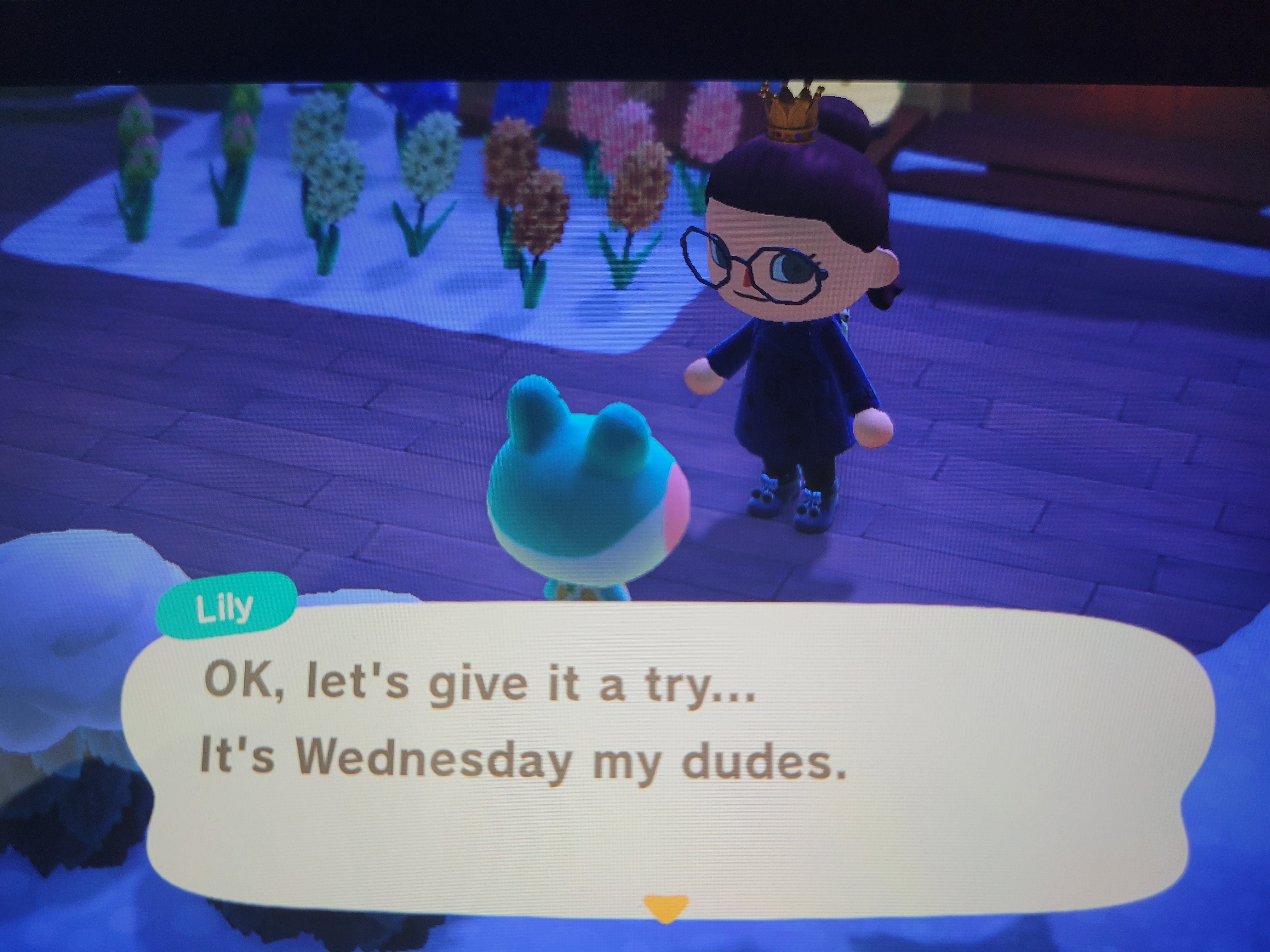 It's Animal Crossing Wednesday, my friends!