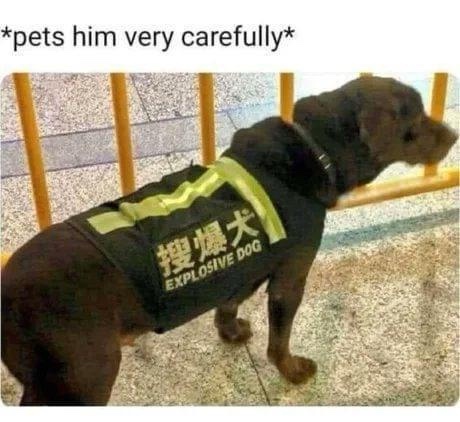 Proudly Borrowed, Mostly Hilarious