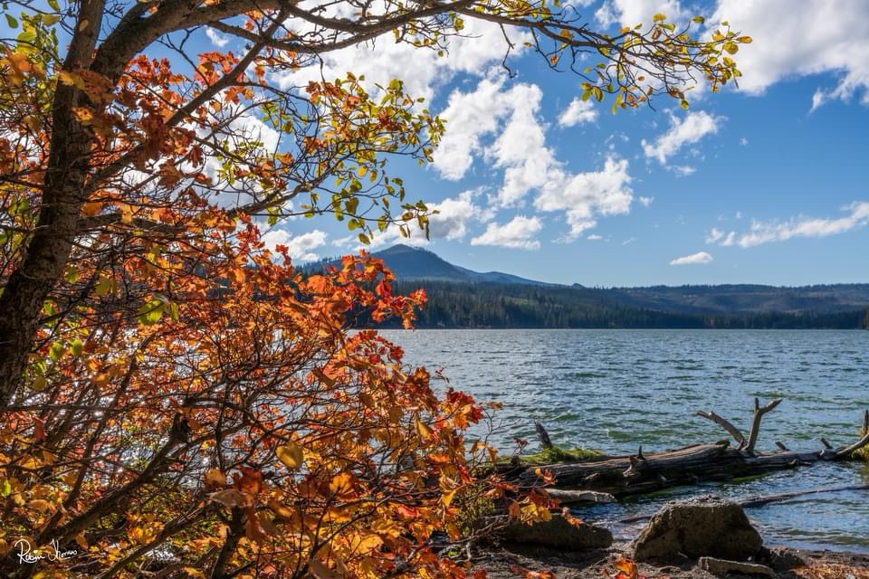 A Serene Autumn Lake Scene
