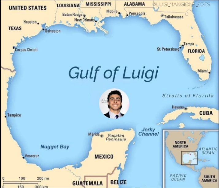 Welcome to the Gulf of Luigi!