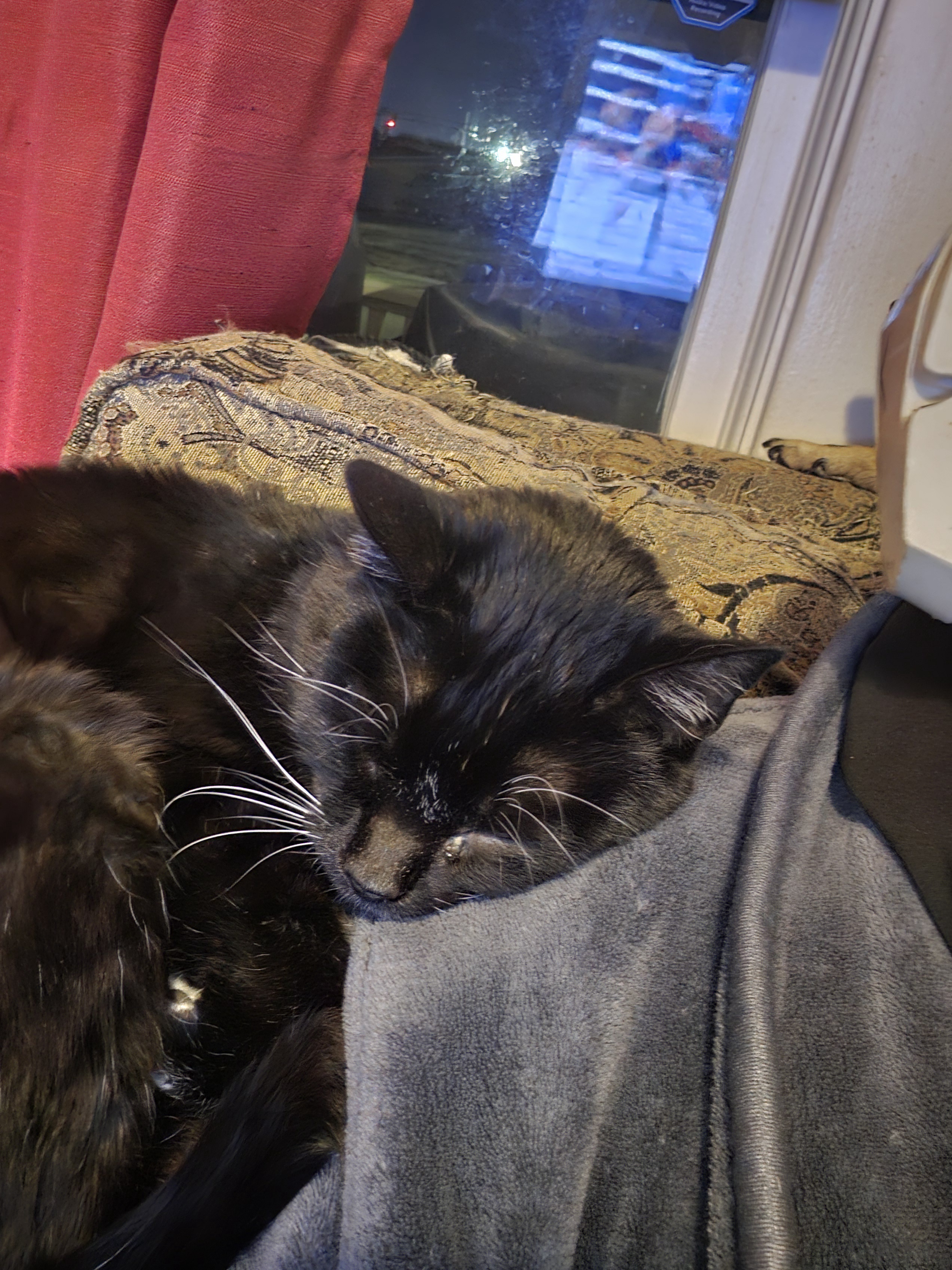 Carrying the Weight of a Void on My Shoulder