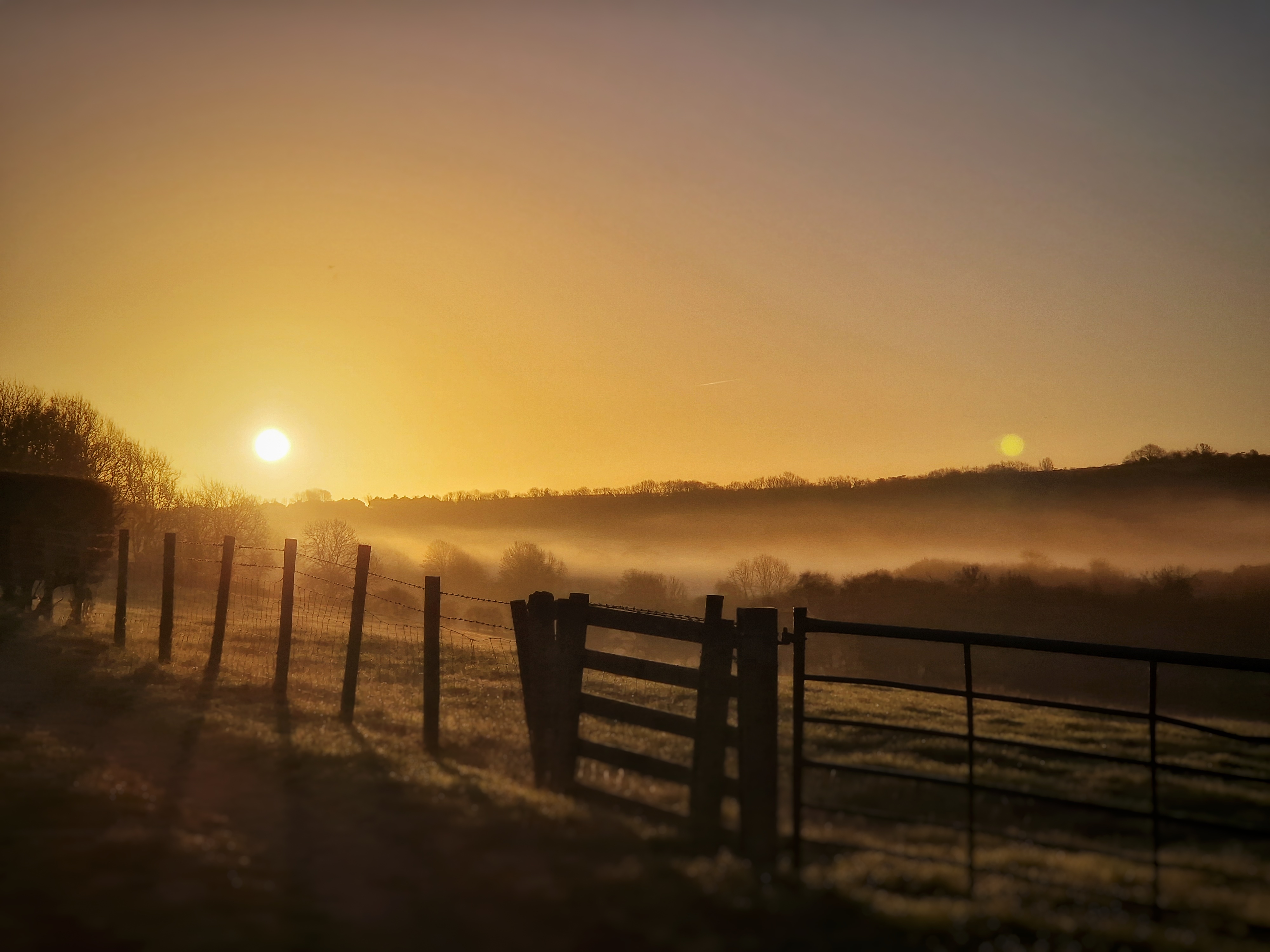 Embracing the Beauty of a Majestic Morning