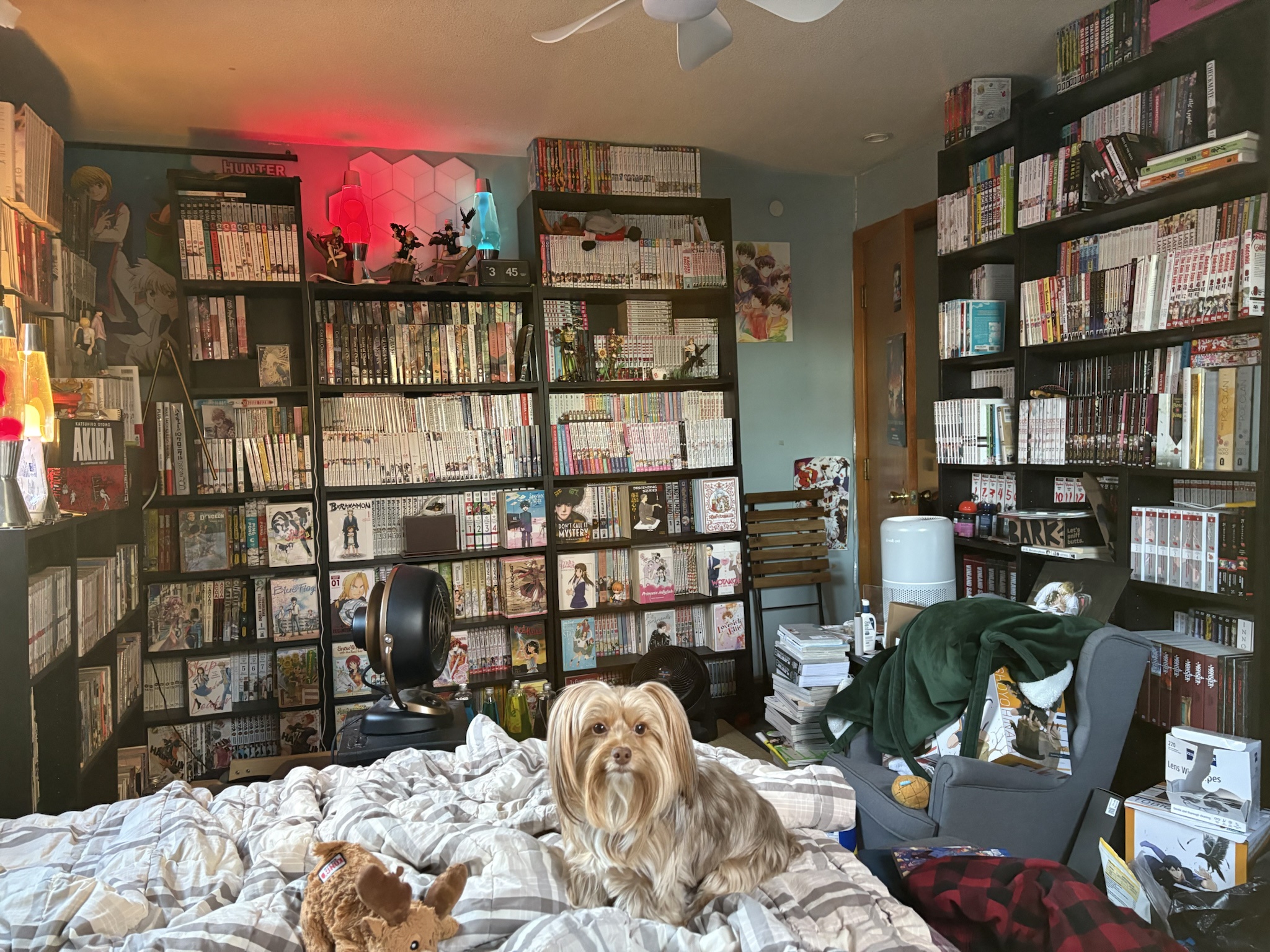 New year, new manga library update! Check out my collection of 2,311 volumes of manga, manhwa, danmei, novels, and art books. Can't wait to see how it evolves this year!