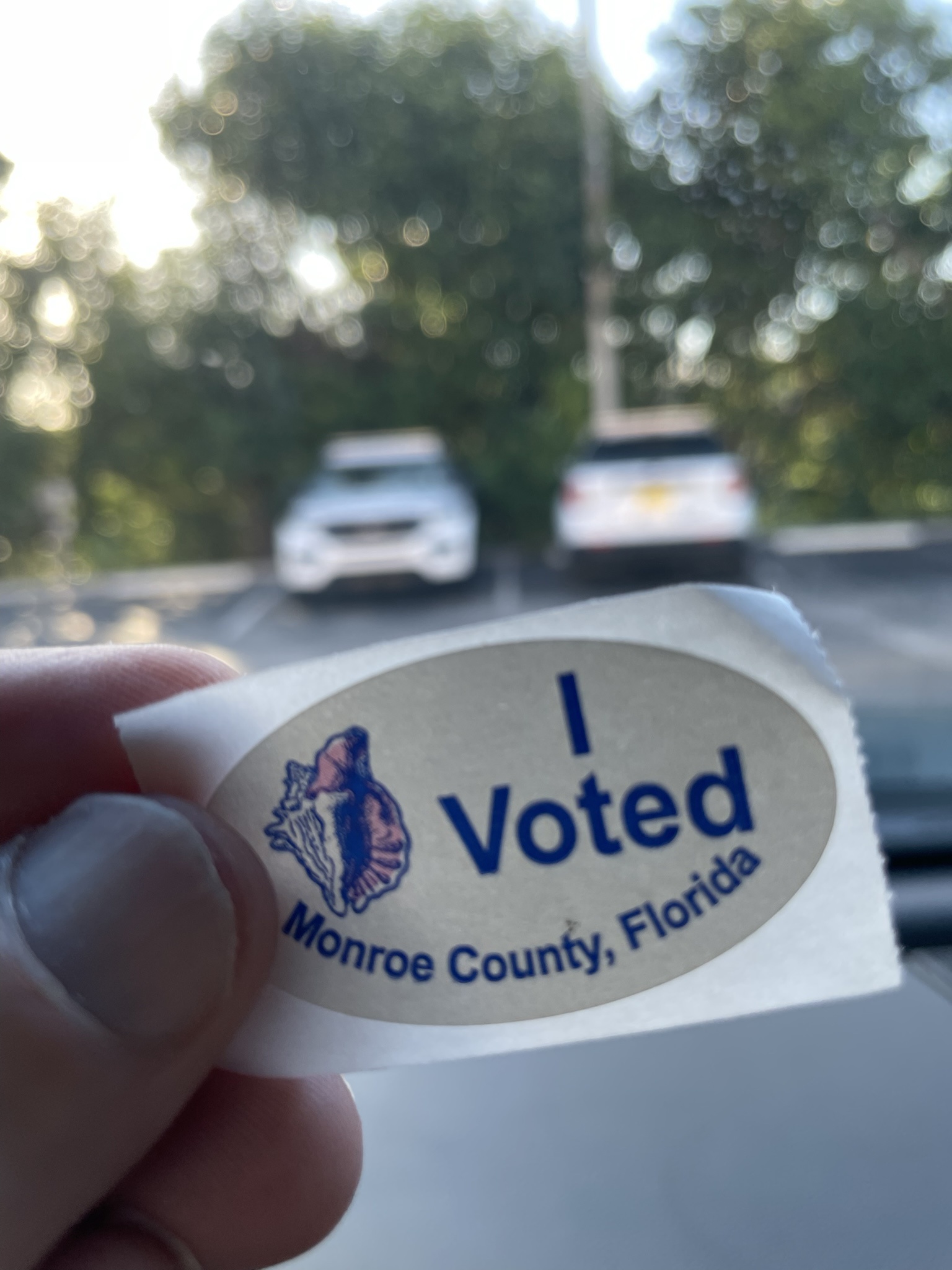 Making a Difference in Florida: Don't Forget to Vote!