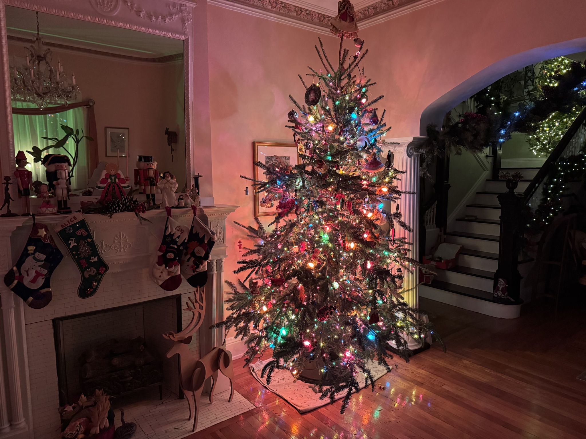 The Christmas Tree of 2024