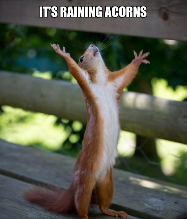 That Moment You Check Imgur on Your Birthday!