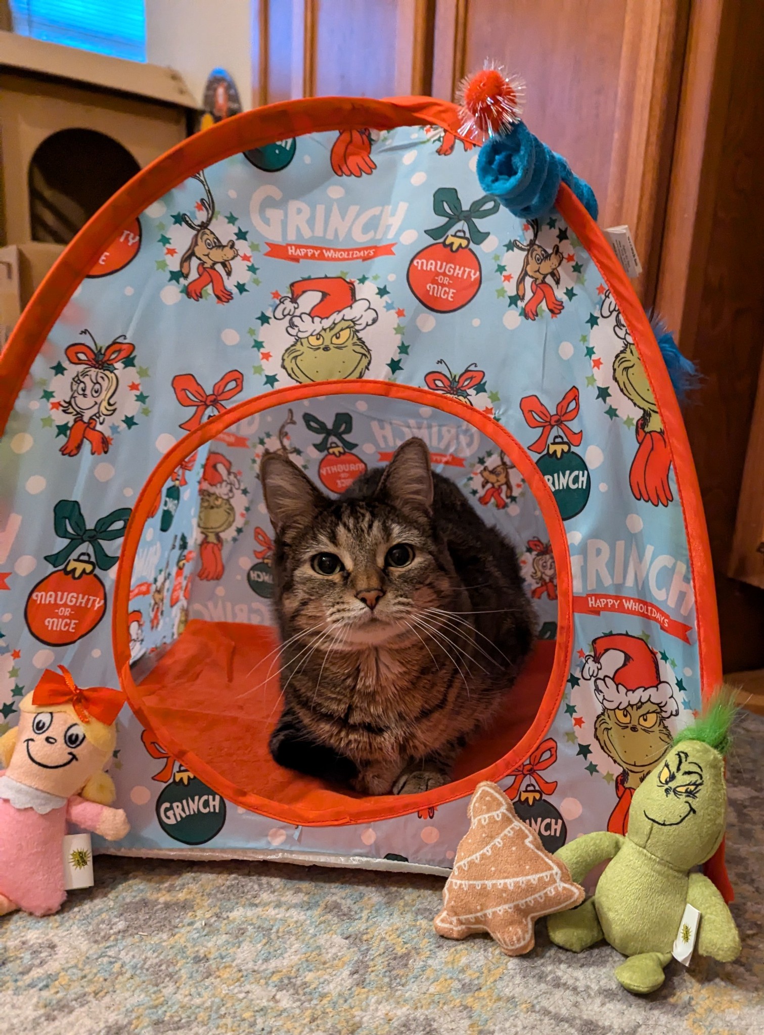 Merry Christmas Greetings from Jeff!