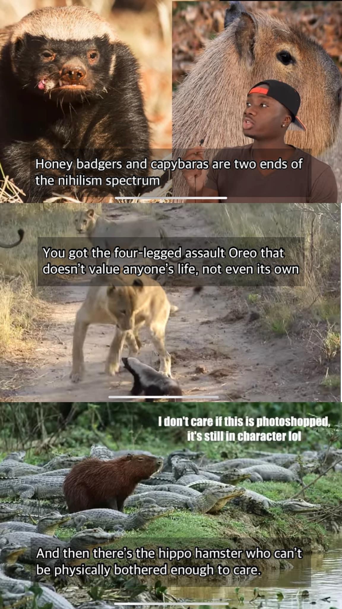Discover some wild and surprising facts!
