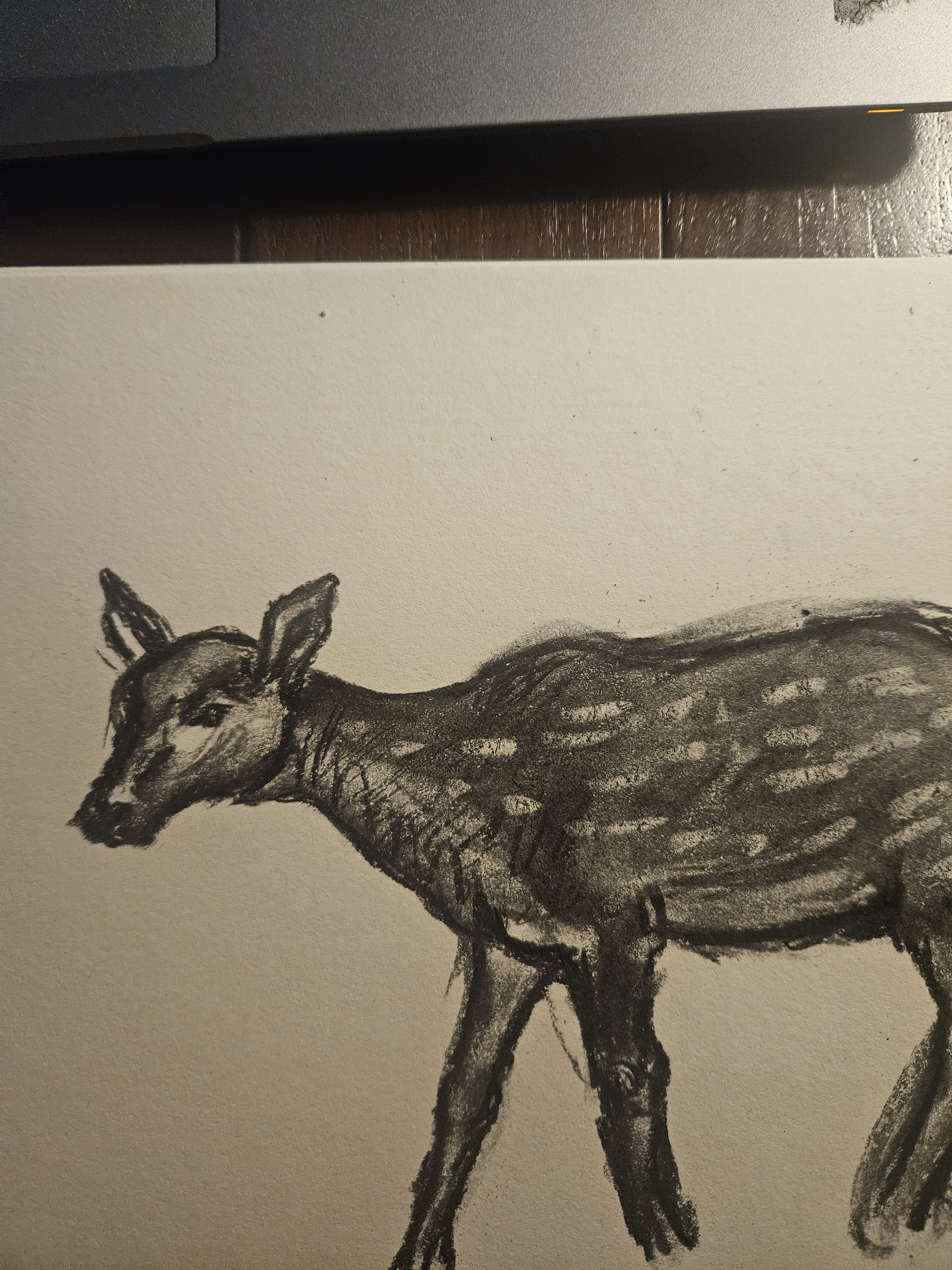 A Creative Sketch of a Deer