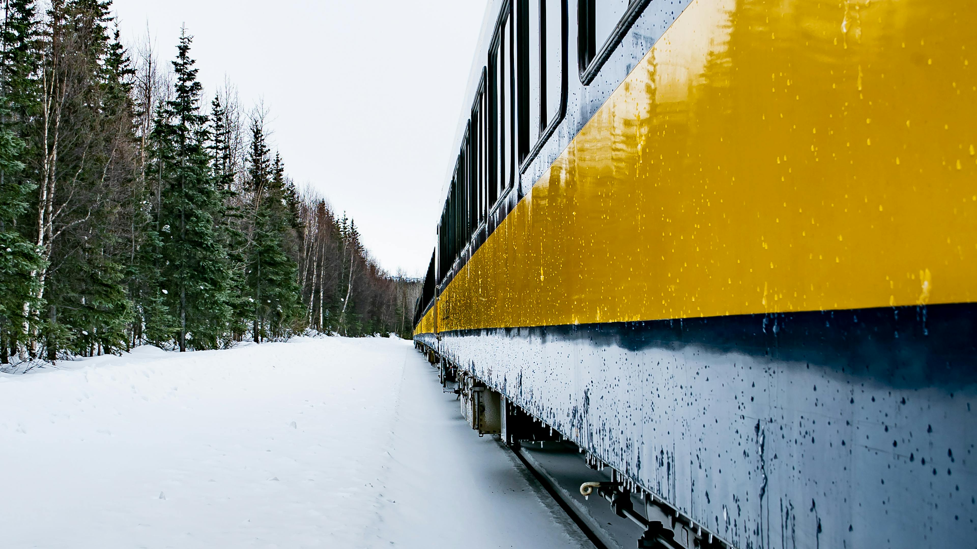 A Scenic Journey: Winter Rail Adventure Through the Wilderness