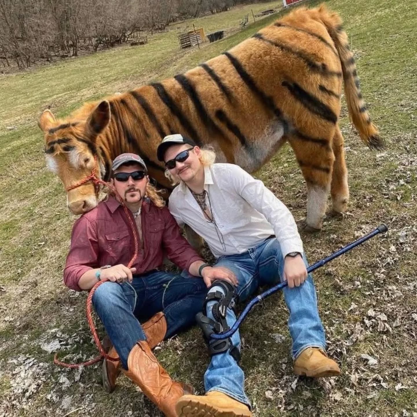 Mom's response: 'No, we have our own version of Tiger King at home.'