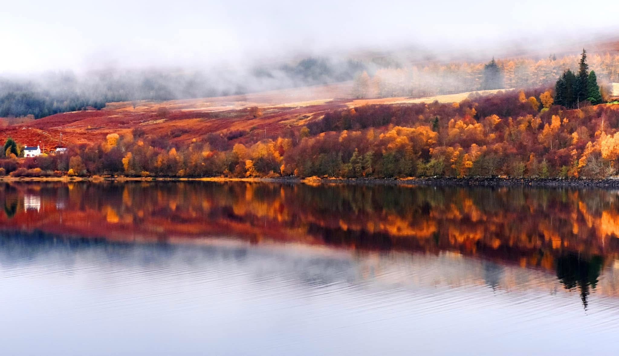 Embracing the Beauty of Autumn