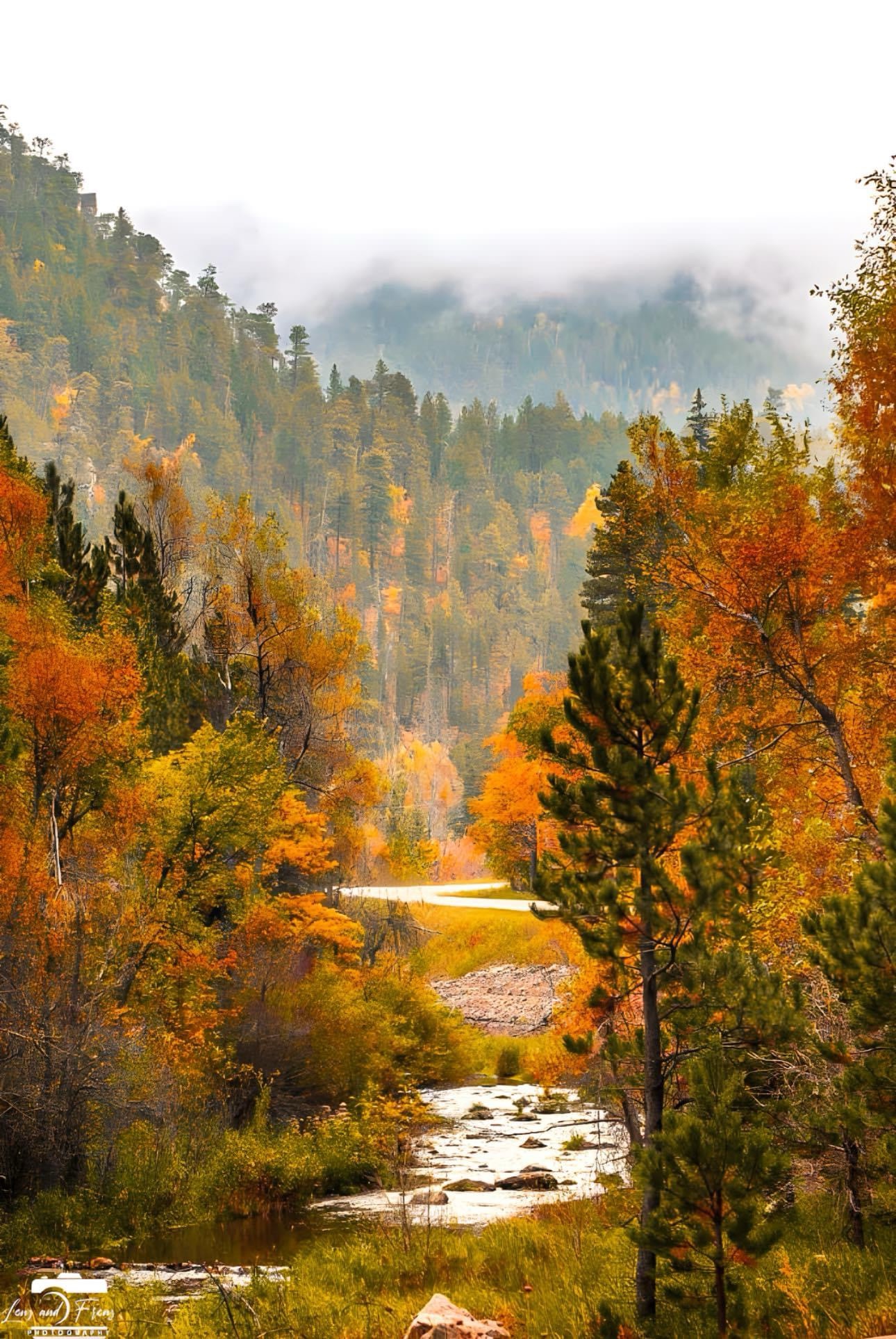 Embracing the Beauty of Autumn
