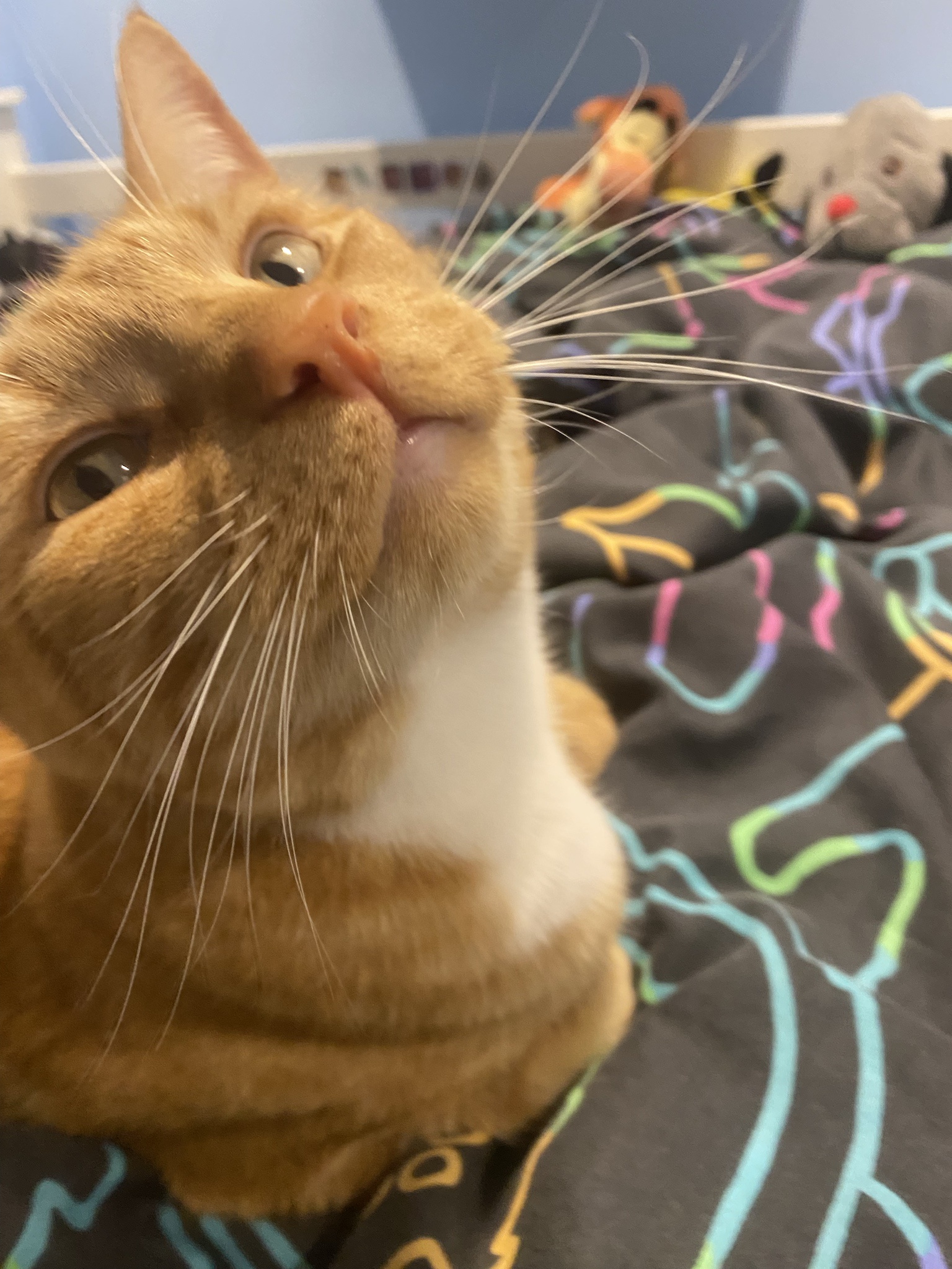 Biscuit's Daily Snapshot: A Peek into His Adventures