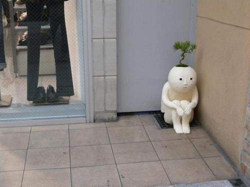 Finding Solace in a Quiet Corner