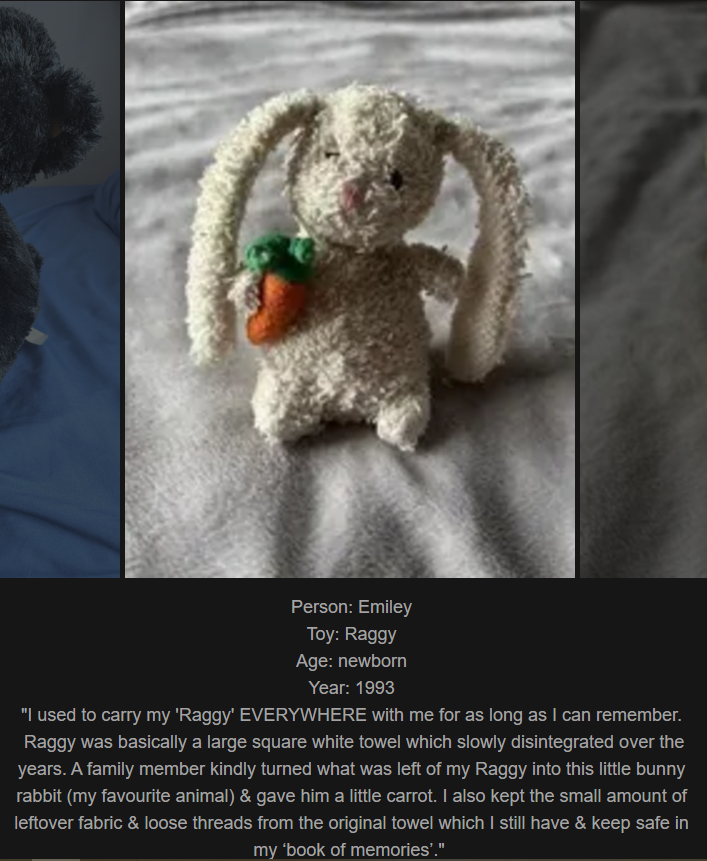 Day 800 of my toy adventure! Celebrating the bond with childhood favorites on my website. Meet Raggy, our latest addition with a heartwarming story!