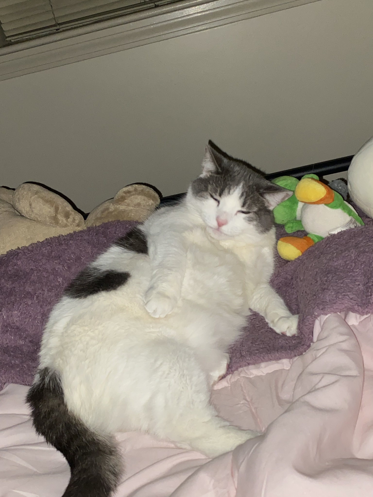 Cozy Moments: The Art of Snuggling