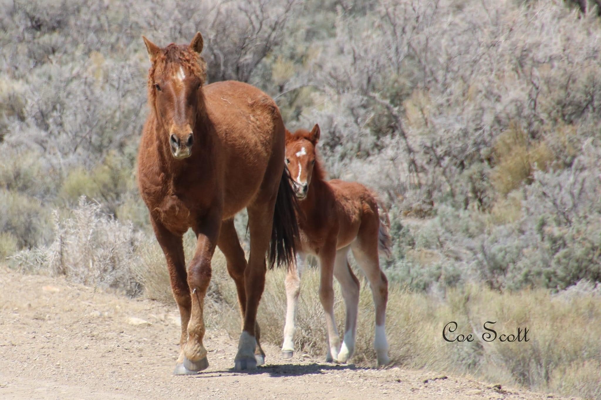 Another Adorable Moment: Mom and Baby