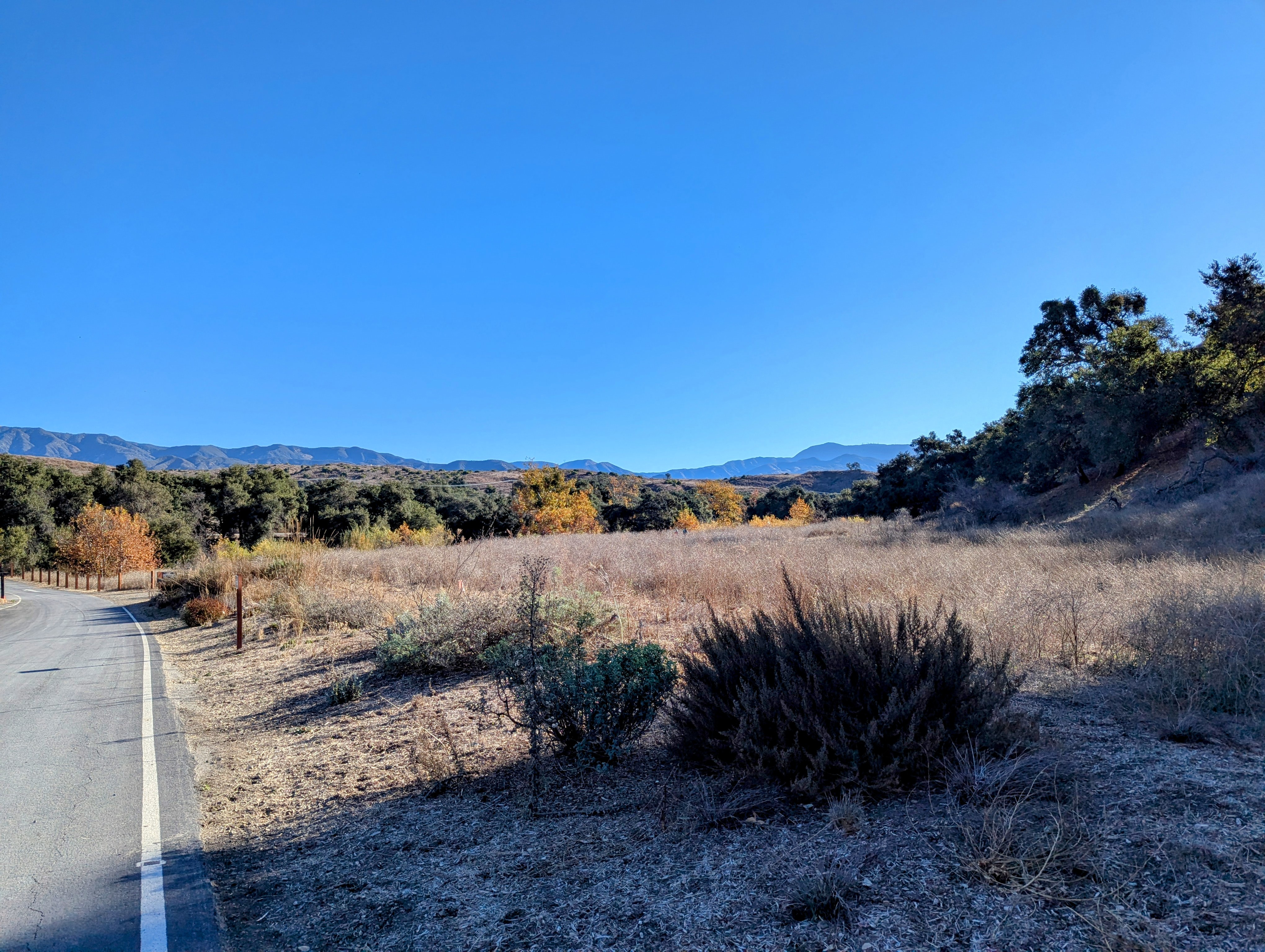 Exploring Limestone Canyon Wilderness: A Hike to the Sinks Viewing Platforms in December 2024
