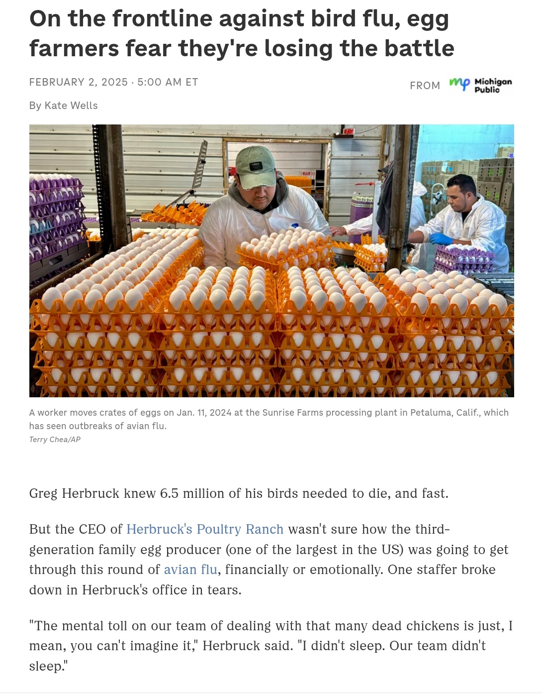 Egg Farmers on the Frontlines of the Bird Flu Battle Fear Losing Ground