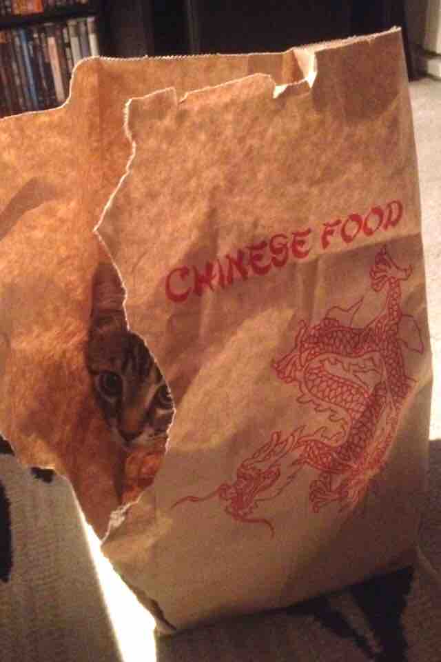 When You Realize Your Chinese Food Might Be Undercooked